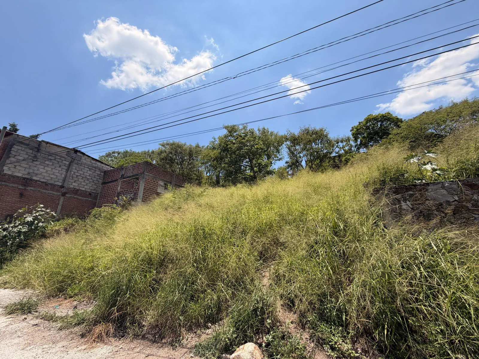 Terreno Spot2