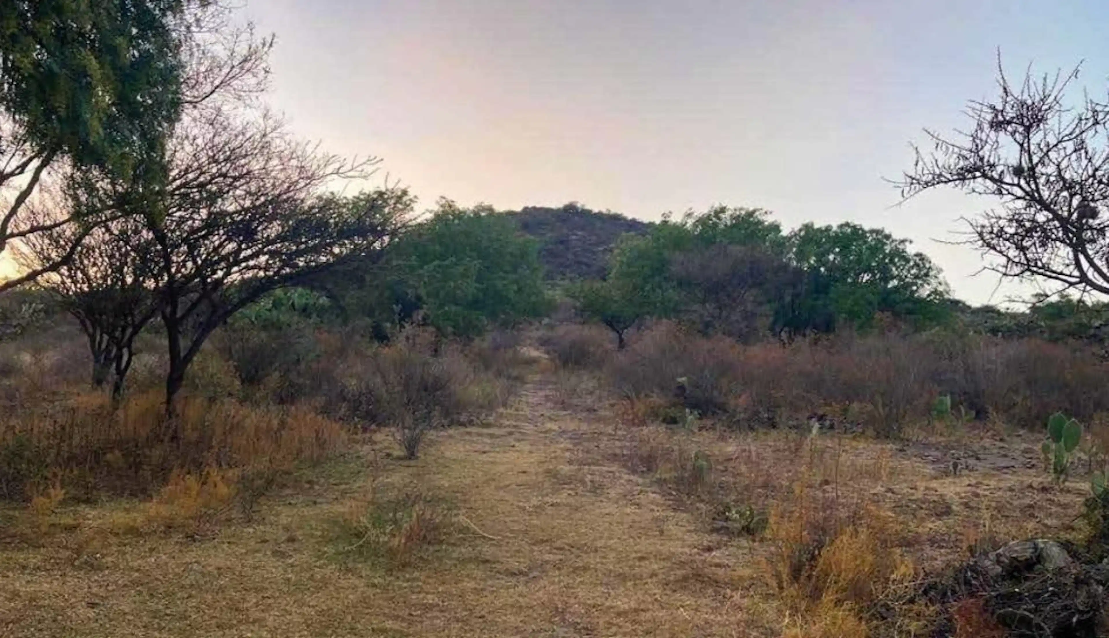 Terreno En San Martin De Las Piramides, Estado De Mexico