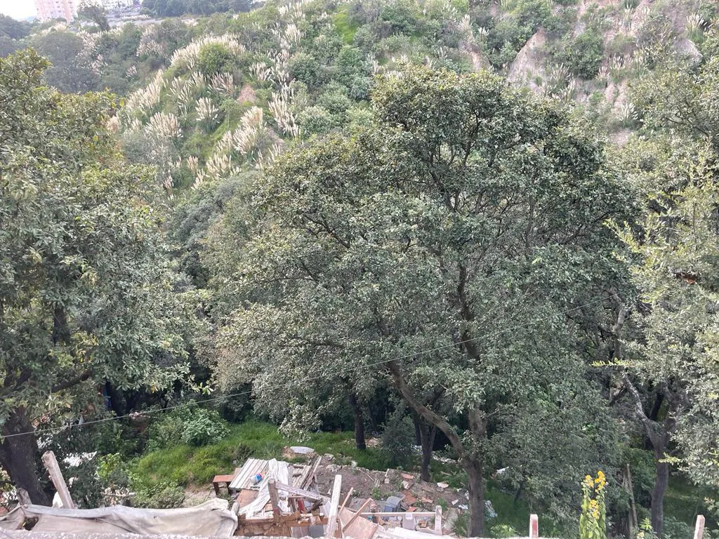Terreno Spot2