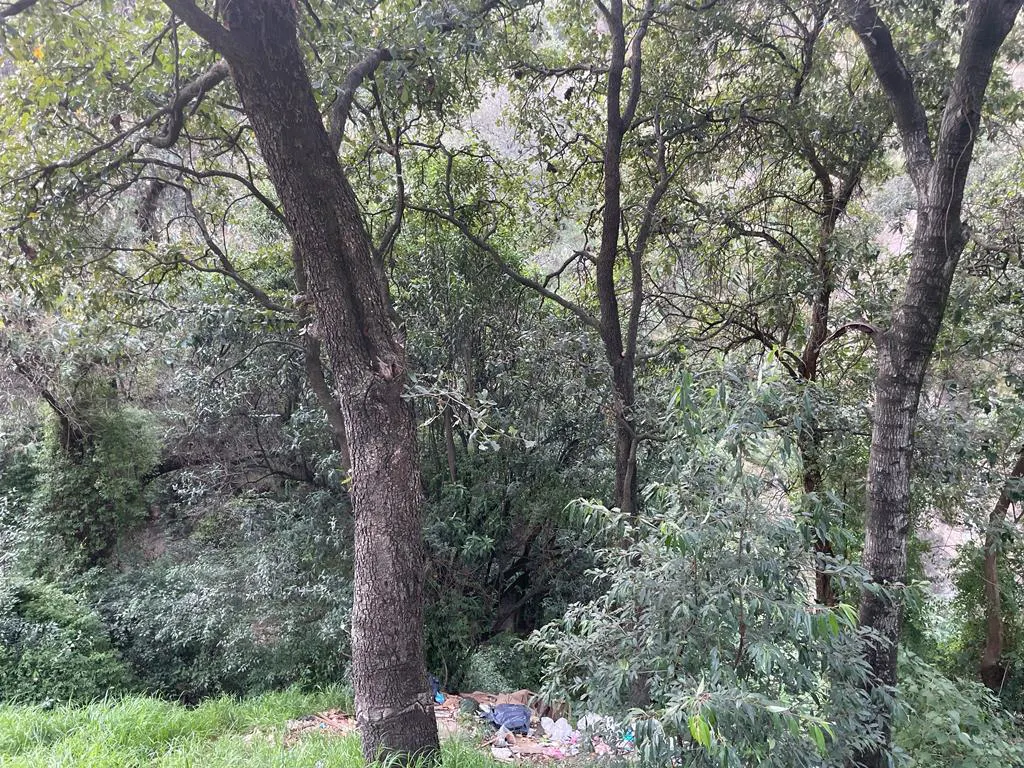 Terreno Spot2