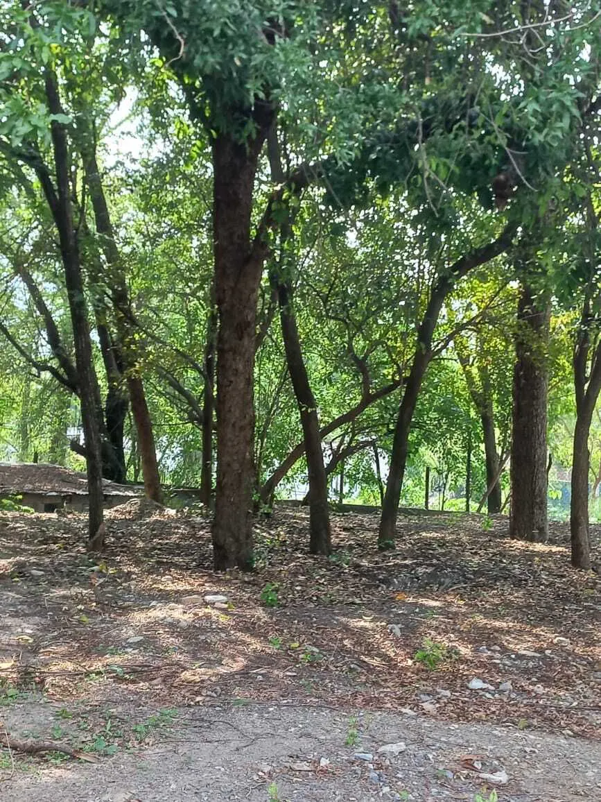 Terreno Spot2