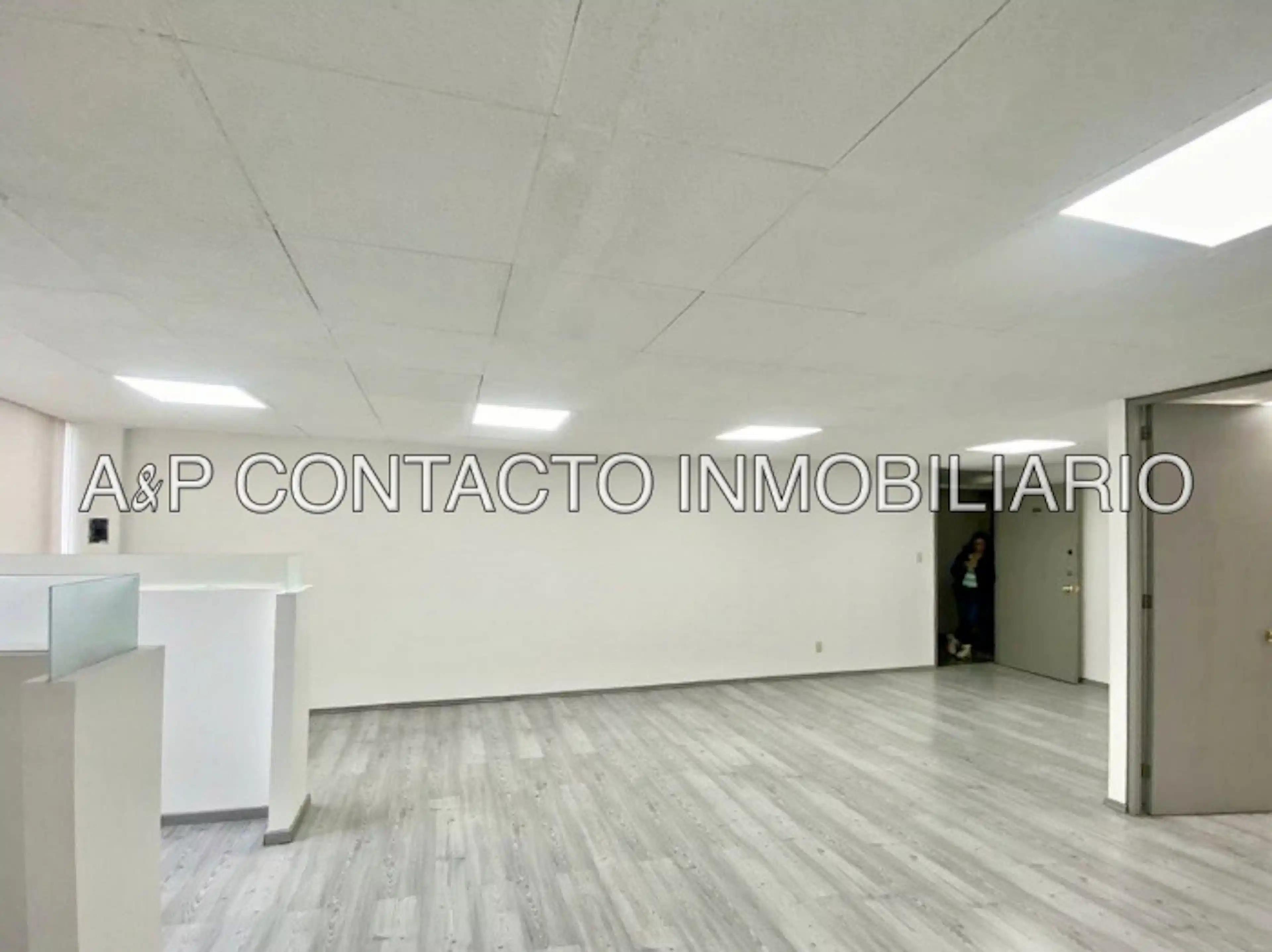 Oficinas Petrarca 223