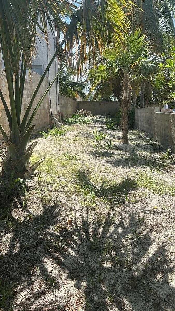 Terreno Spot2
