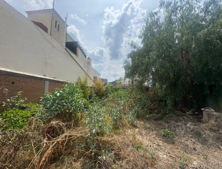 Terreno Spot2