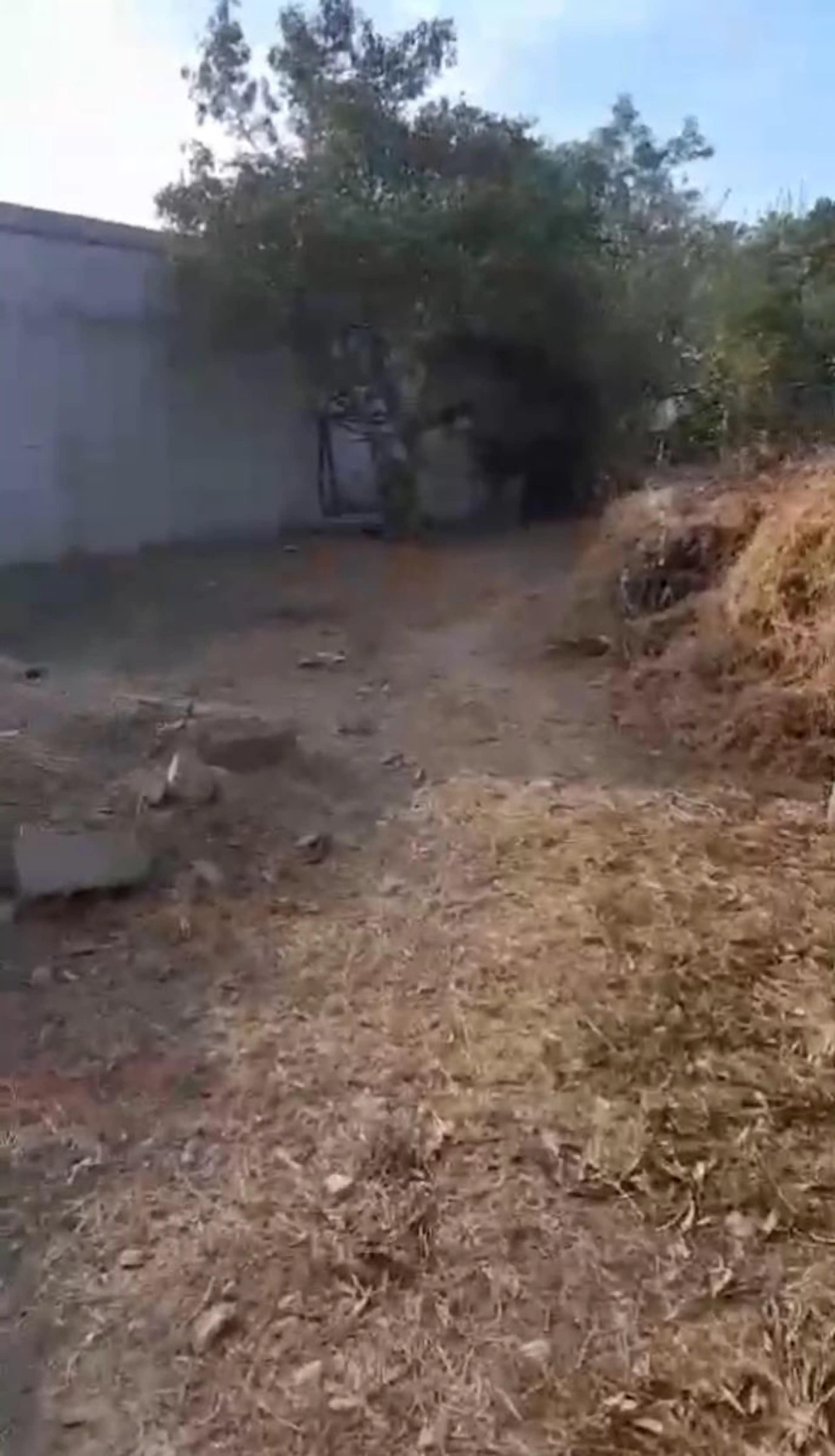 Terreno en Montemorelos