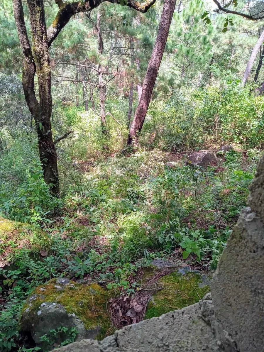 Terreno Spot2