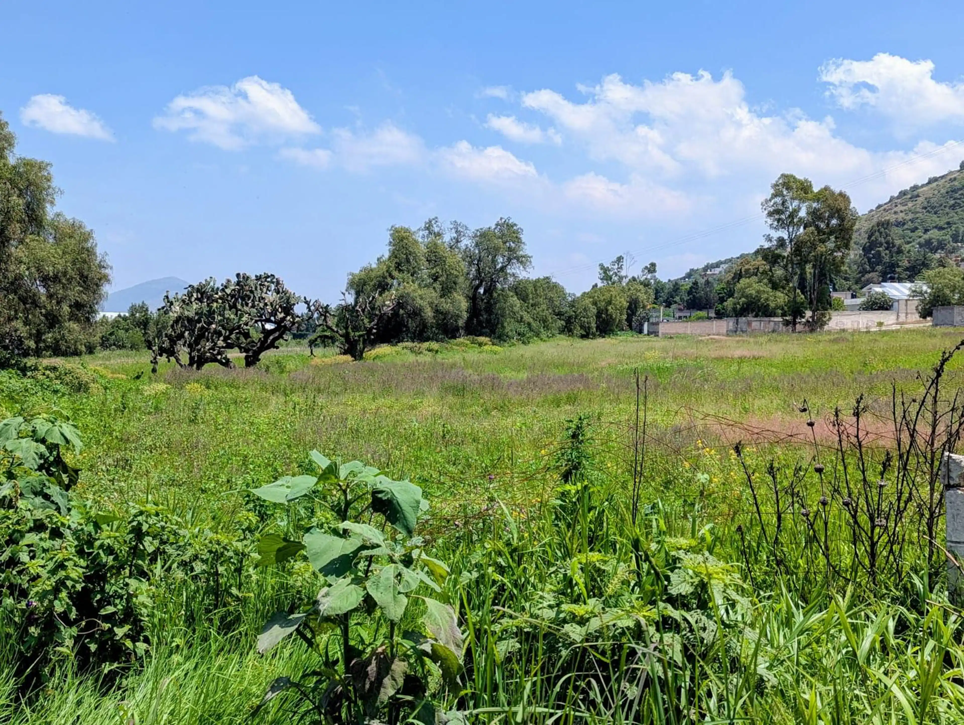 Terreno en La Purificación Tepetitla