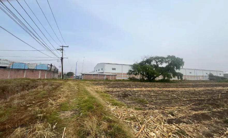Terreno Spot2
