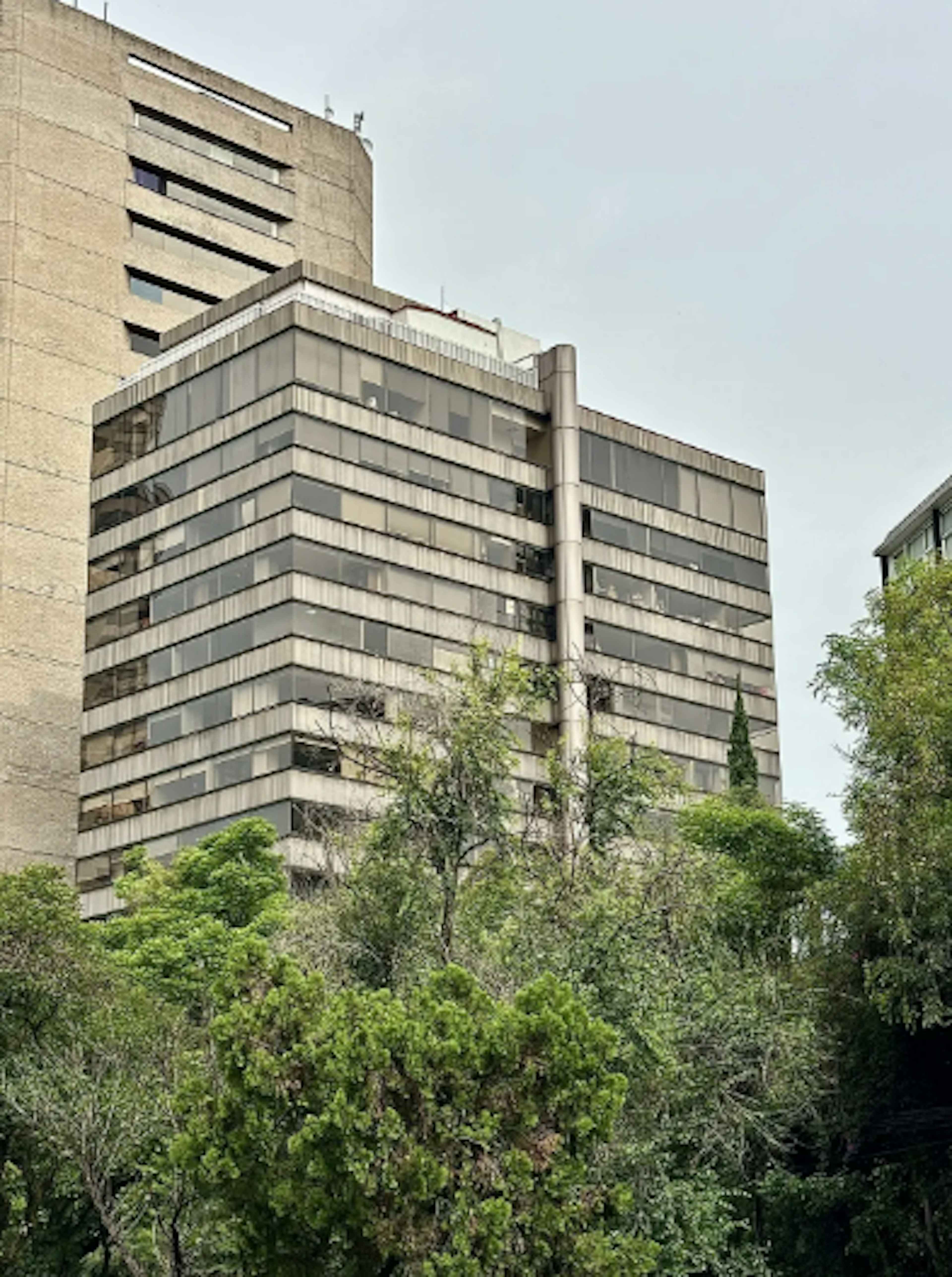 Avenida Paseo De Las Palmas