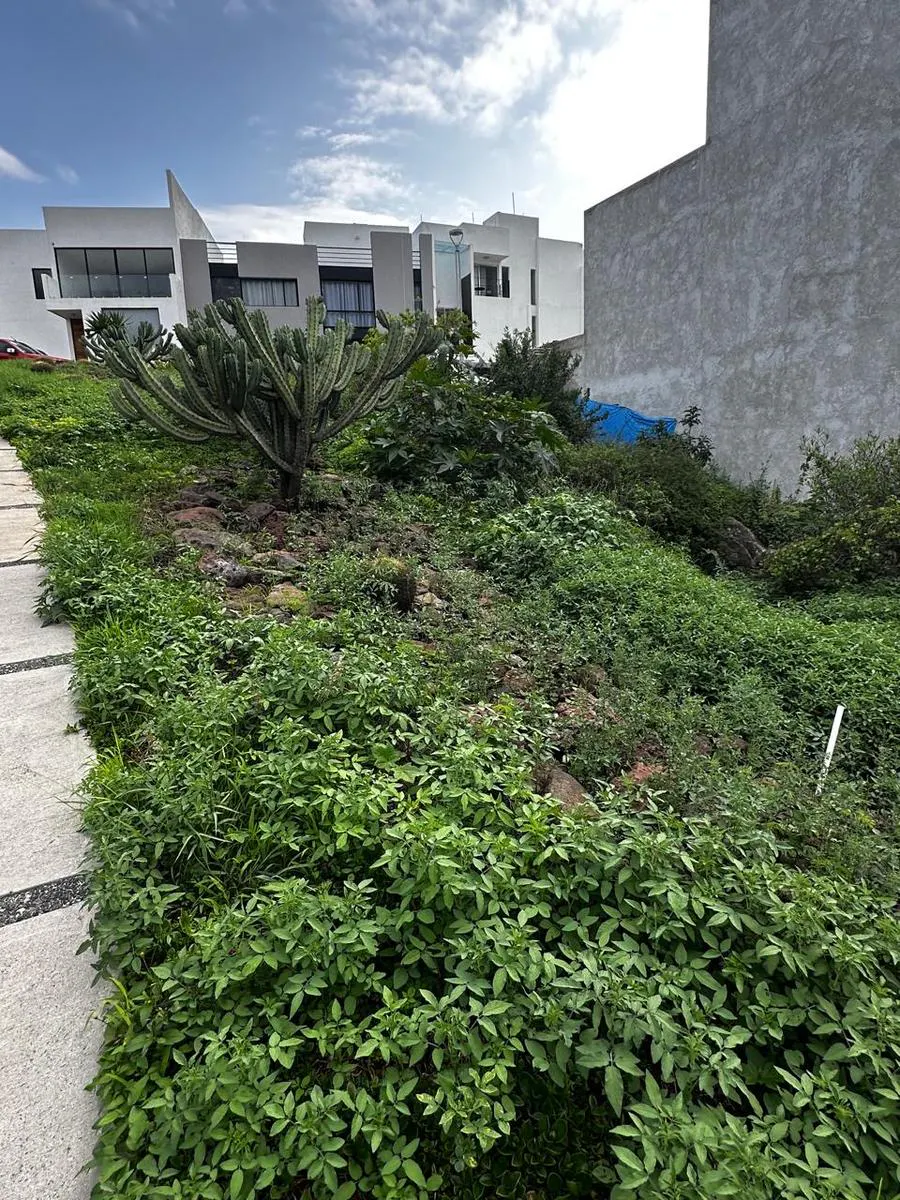 Terreno Spot2