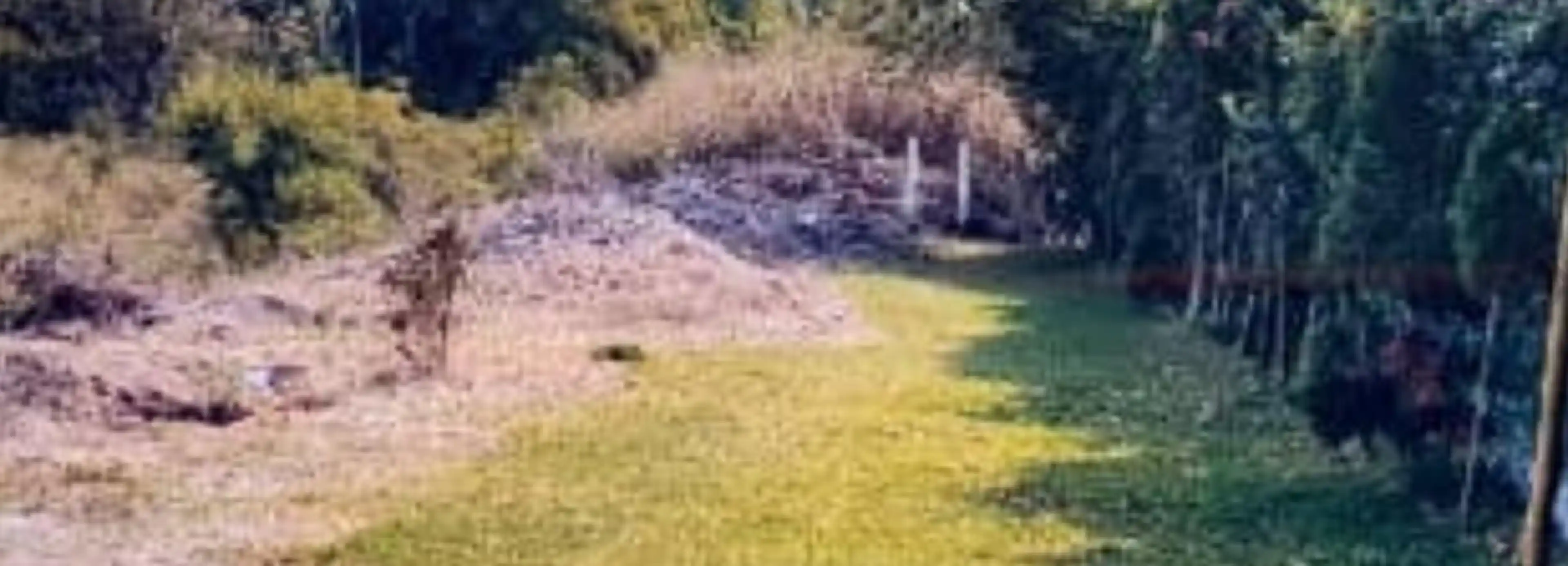 Terreno en  Huertas de Cuautla