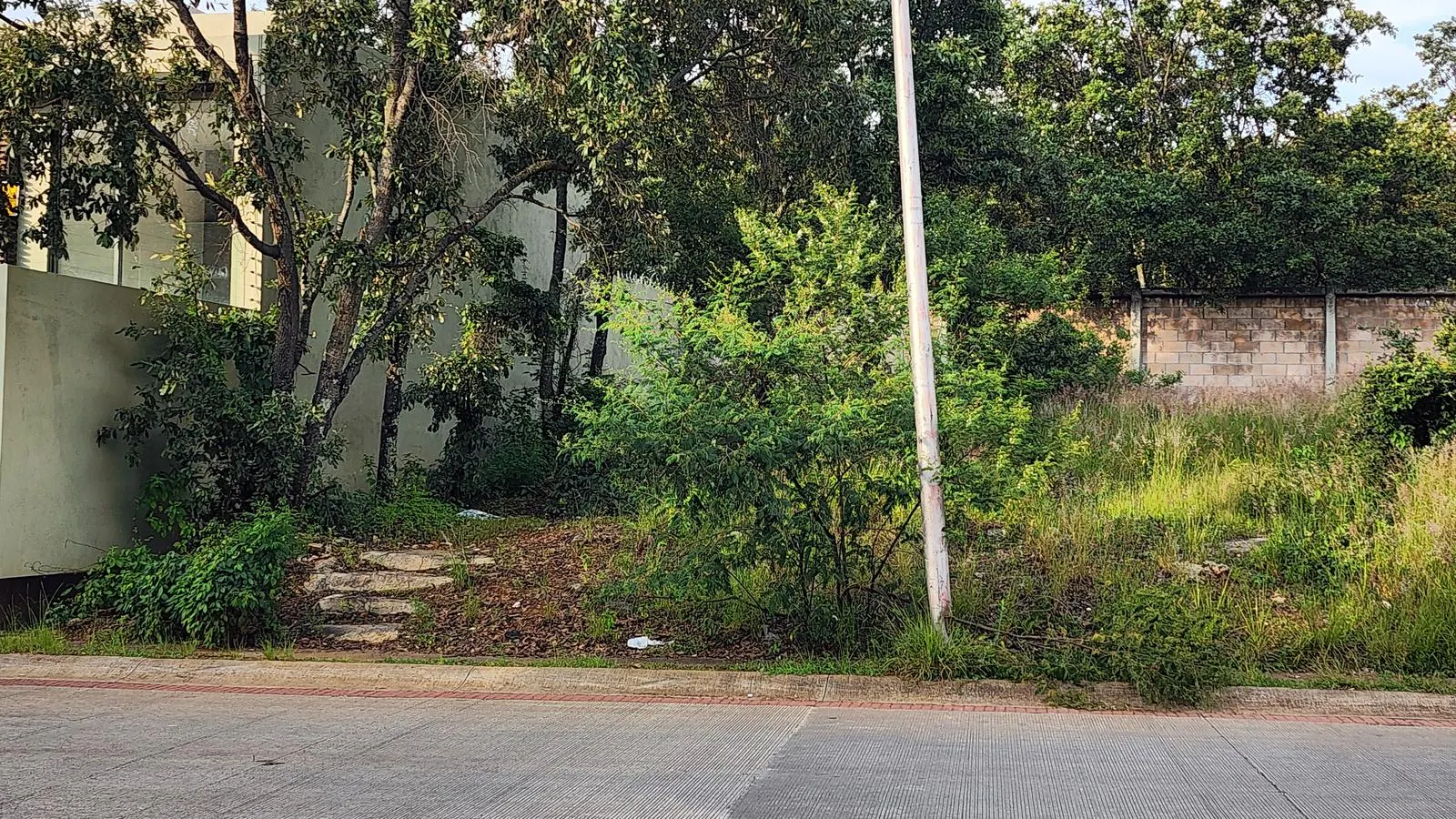 Terreno Spot2