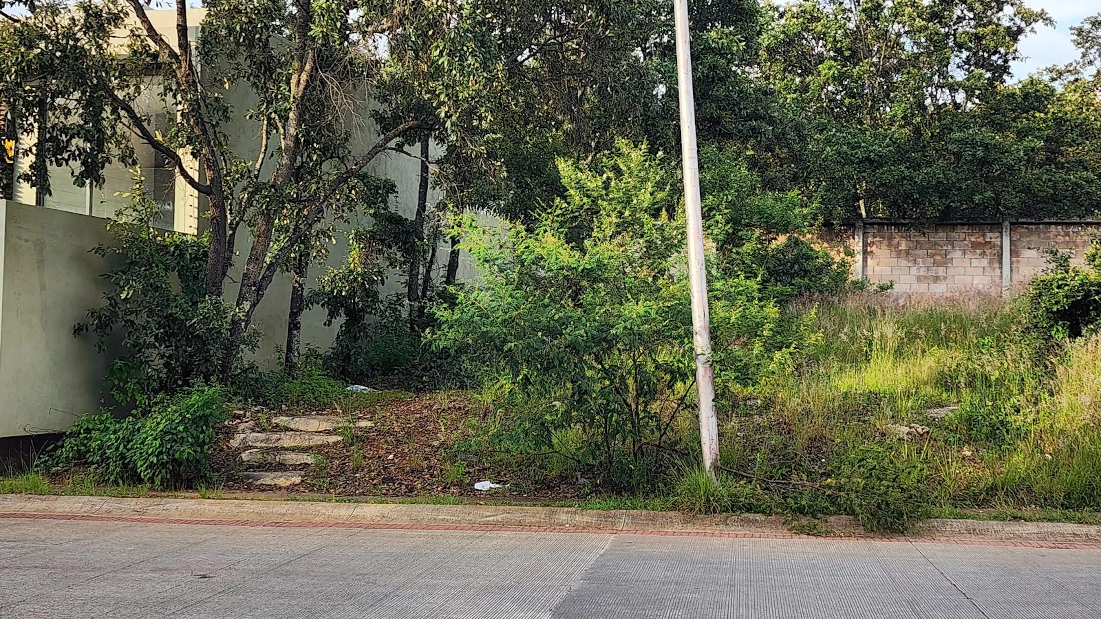 Terreno En Venta Bosque Monarca Avenida Principal 5 Minutos Del Centro Comercial Altozano
