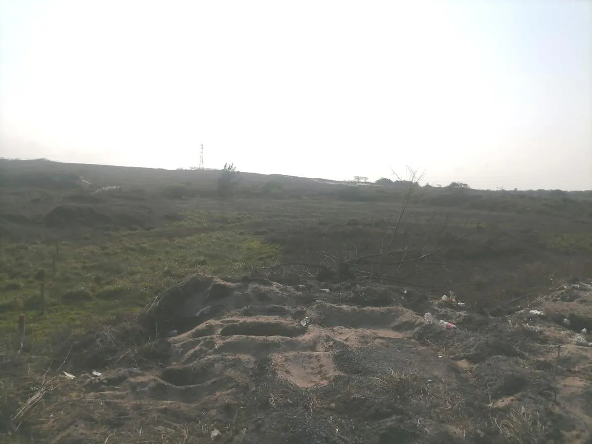 Terreno Spot2