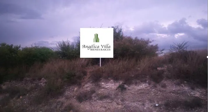 Terreno Spot2