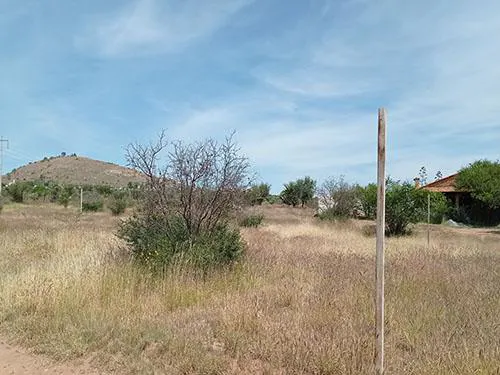 Terreno Spot2