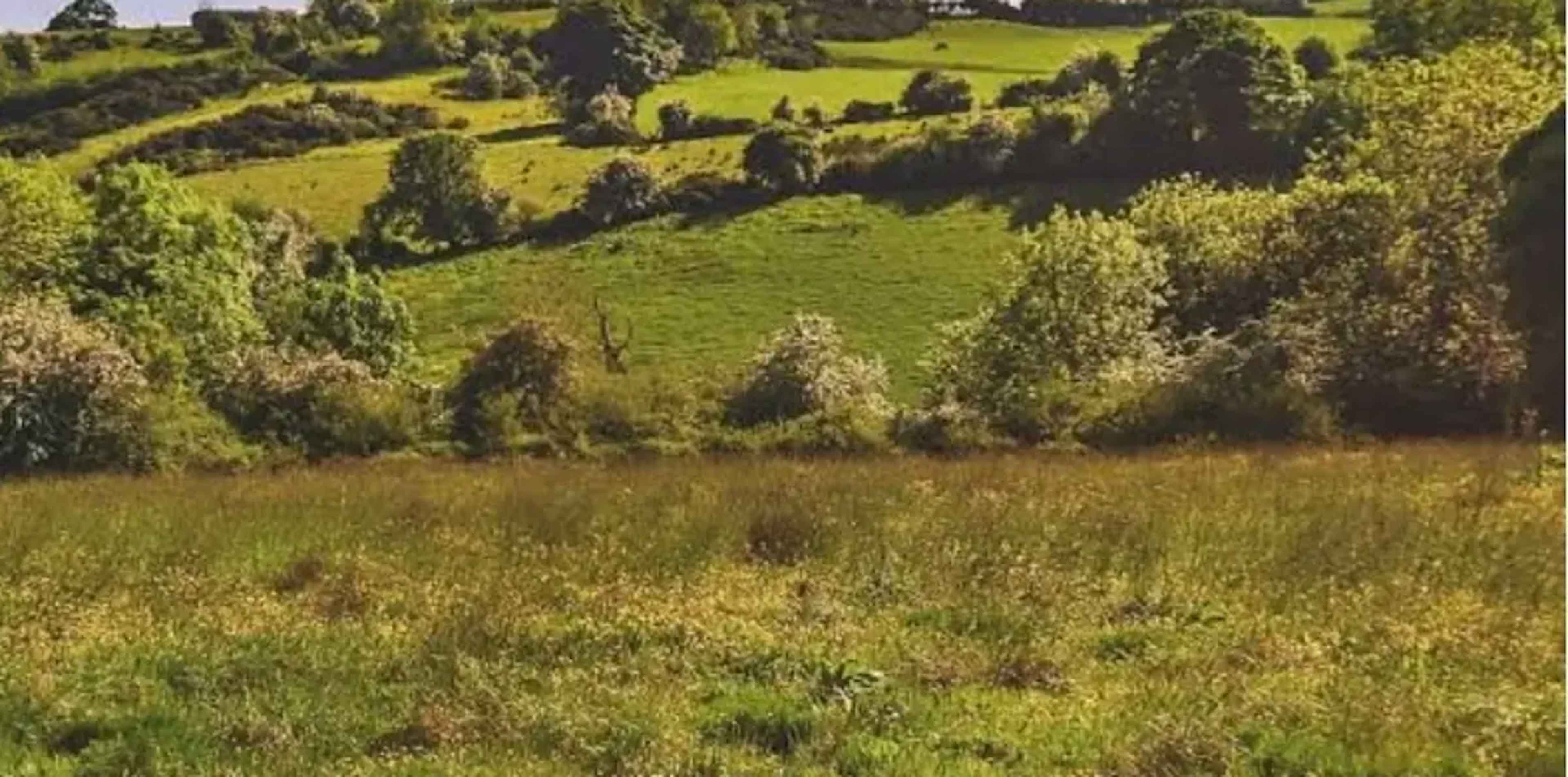 Terreno En Venta En Oriental, Colima, Colima