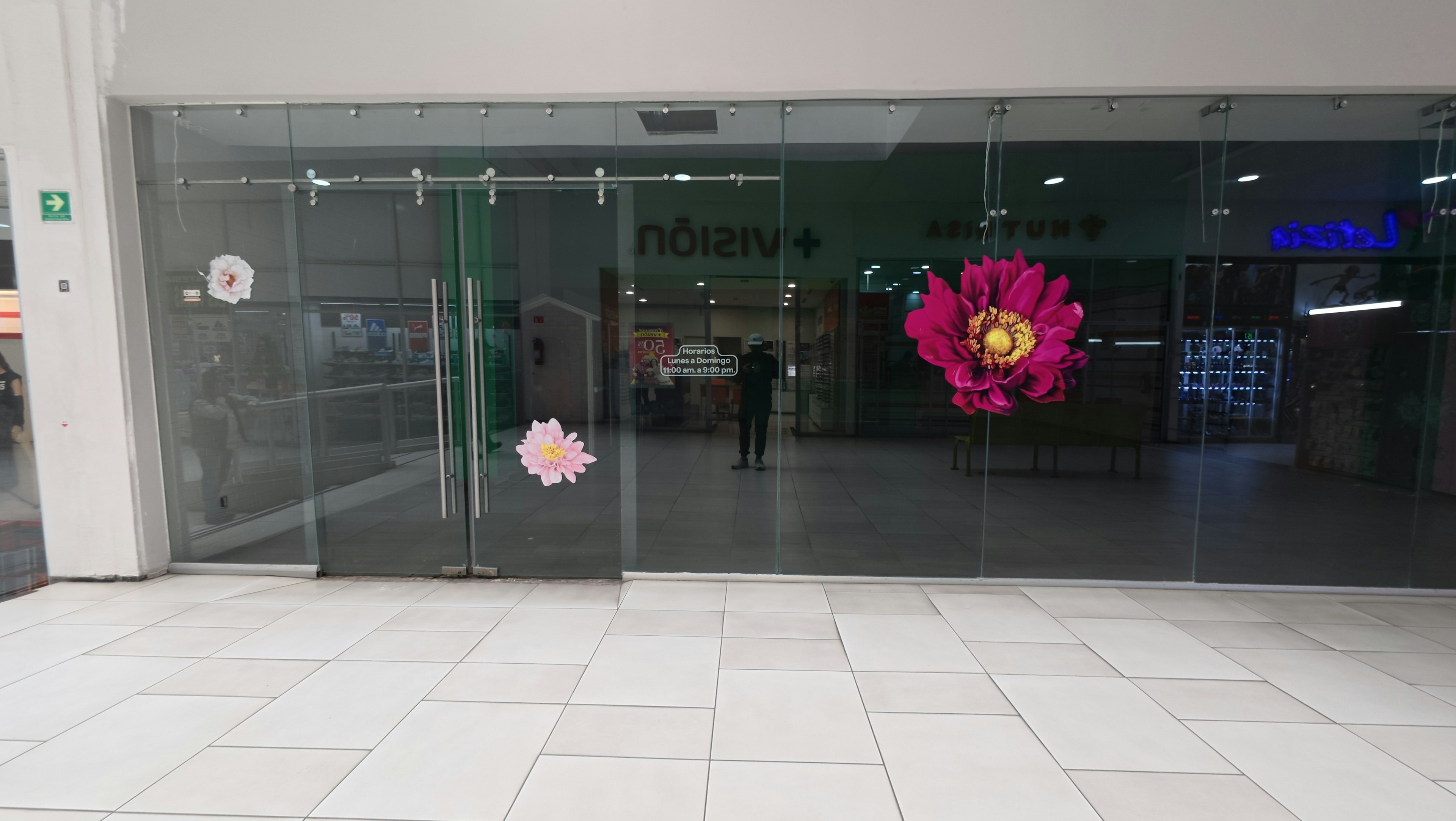 Pb - Local 4 Y 5-photo