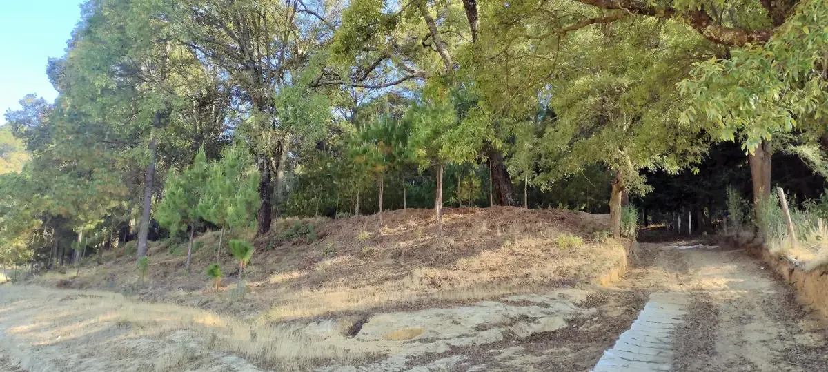 Terreno Spot2