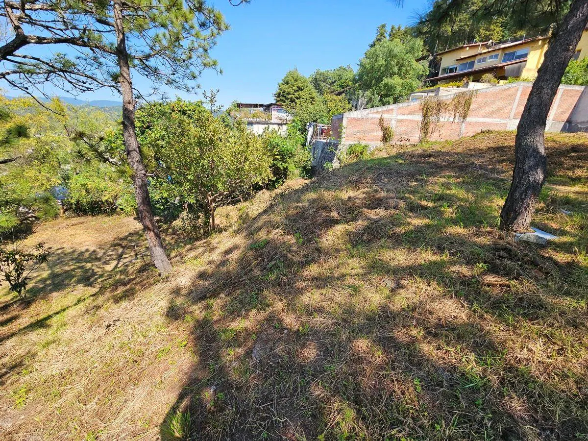 Terreno Spot2