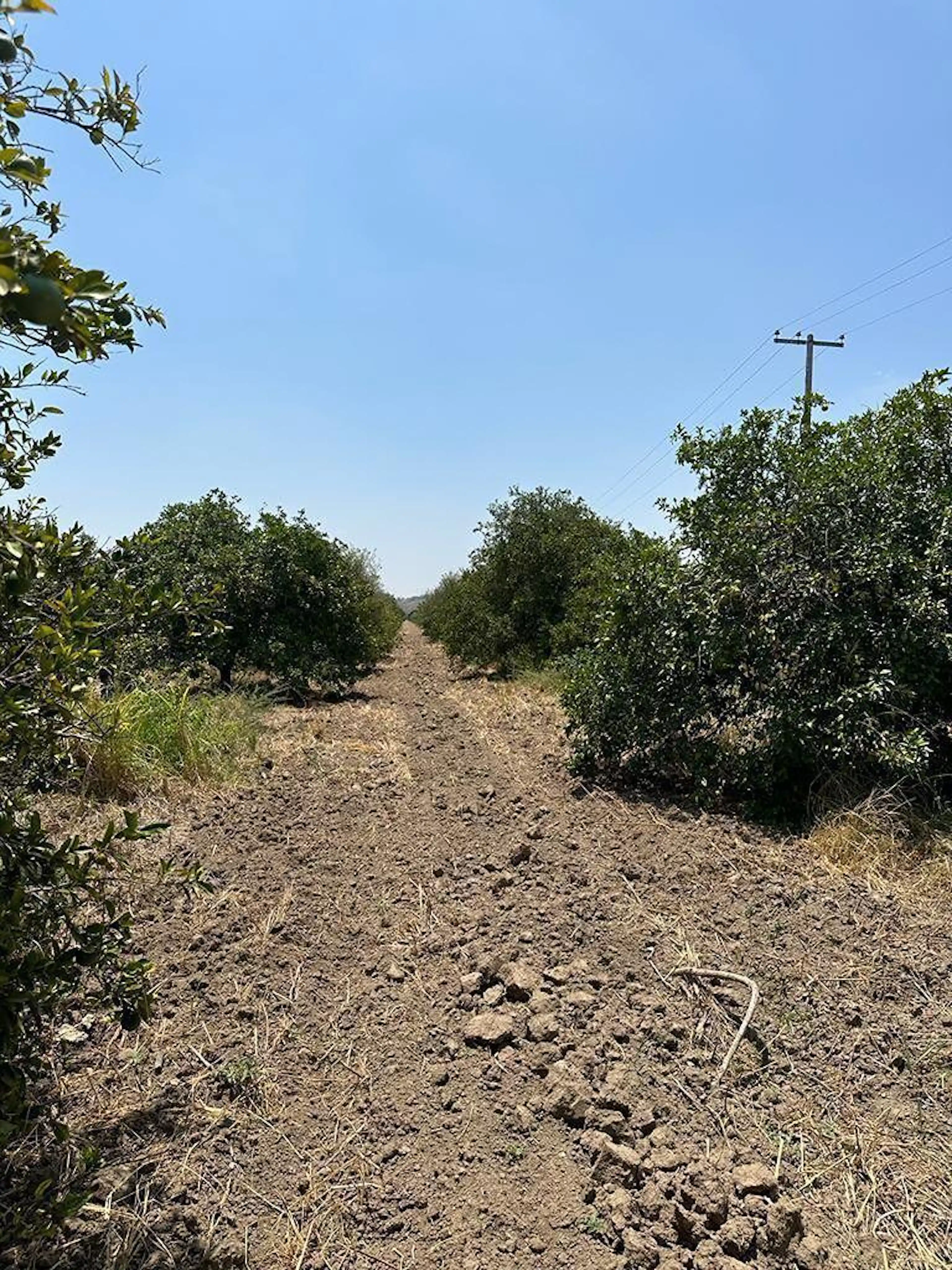 Terreno En Venta Con Uso De Suelo Comercial / Habitacional En Linares. N.l