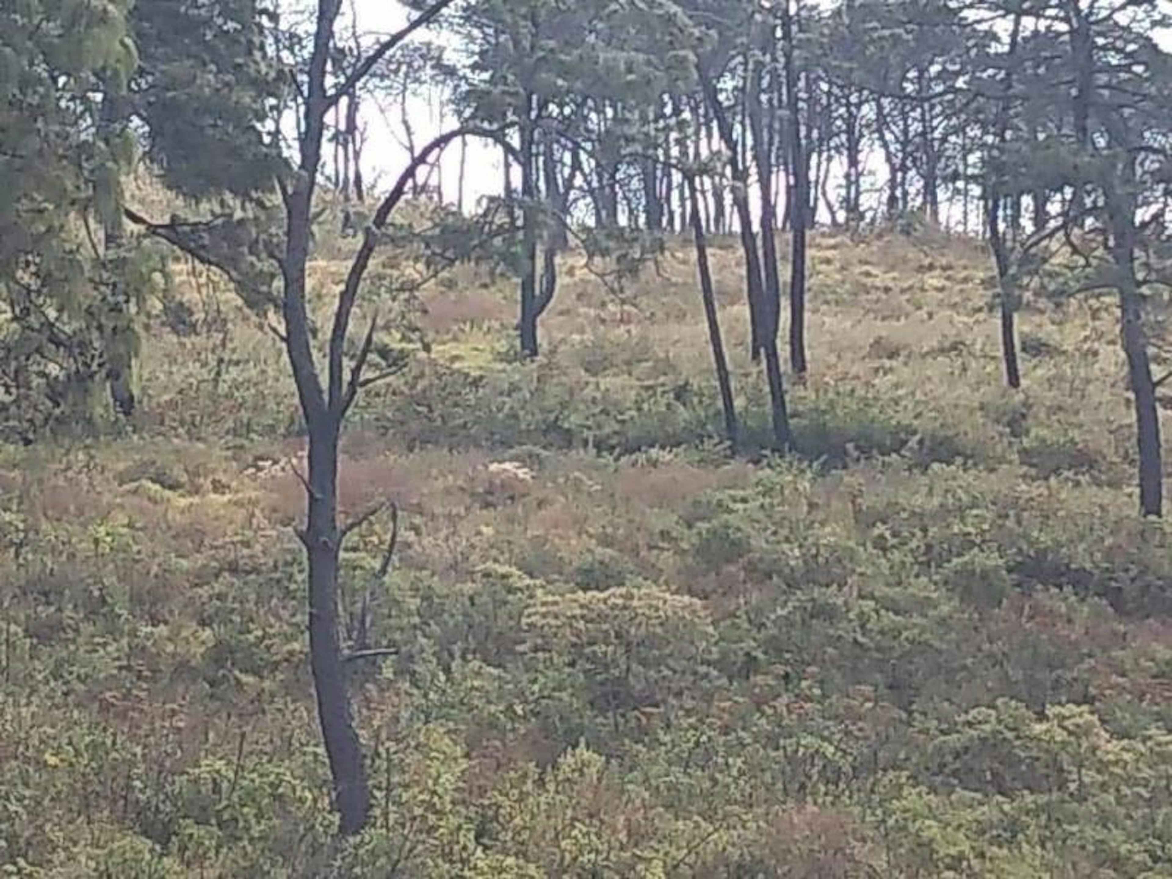 Terreno En Venta En Cuauhtemoc, Cuauhtémoc, Colima