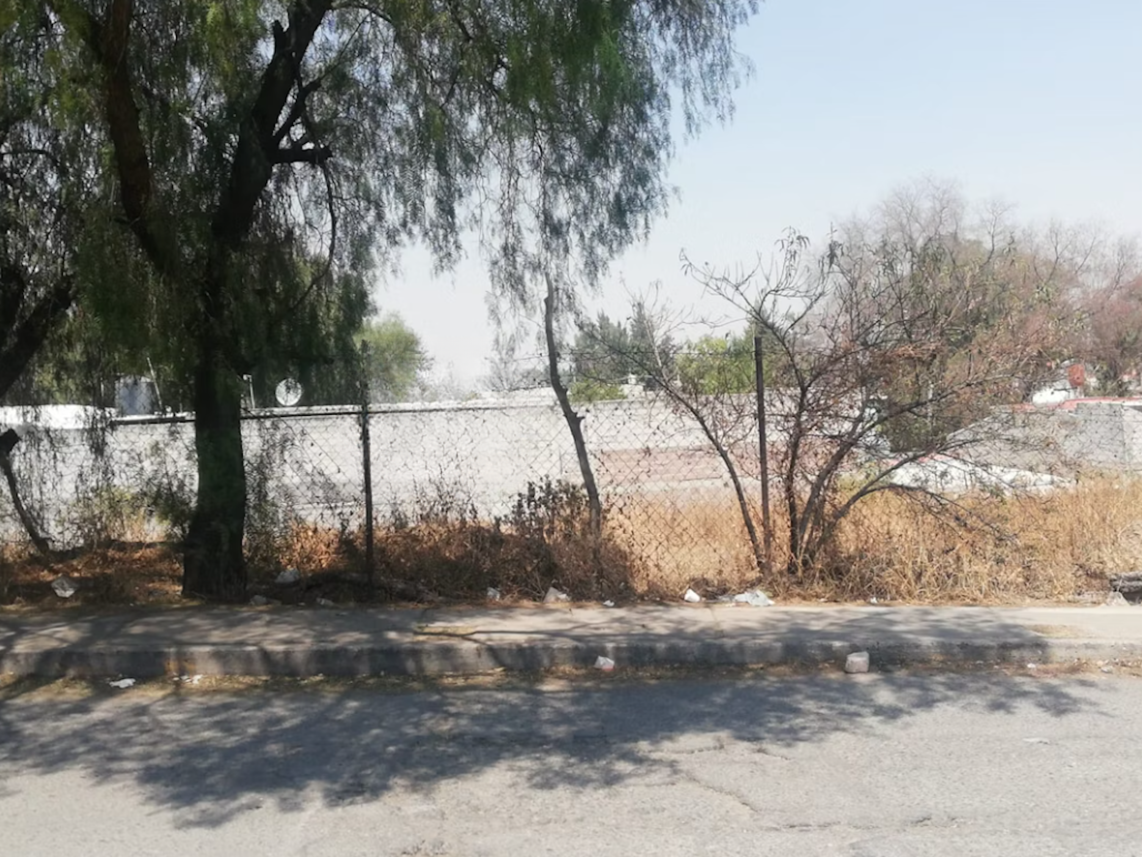 Spot image 0
