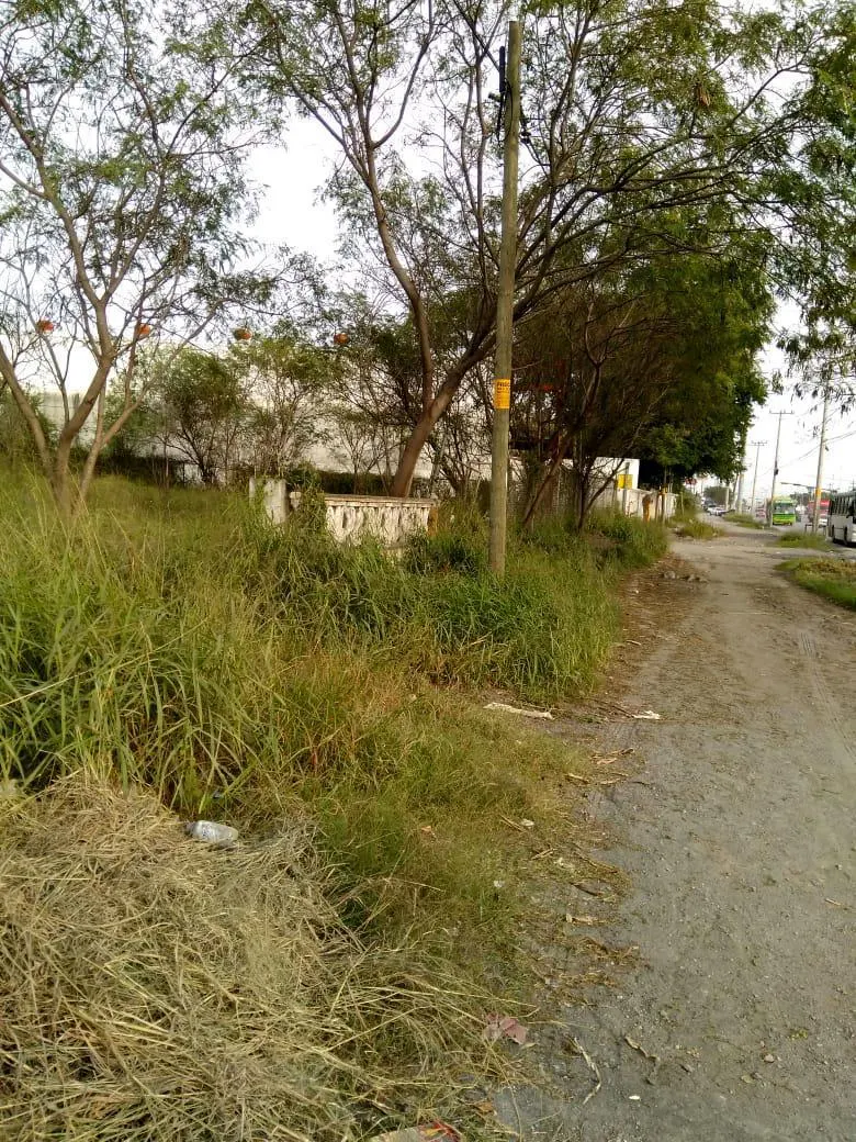 Terreno Spot2