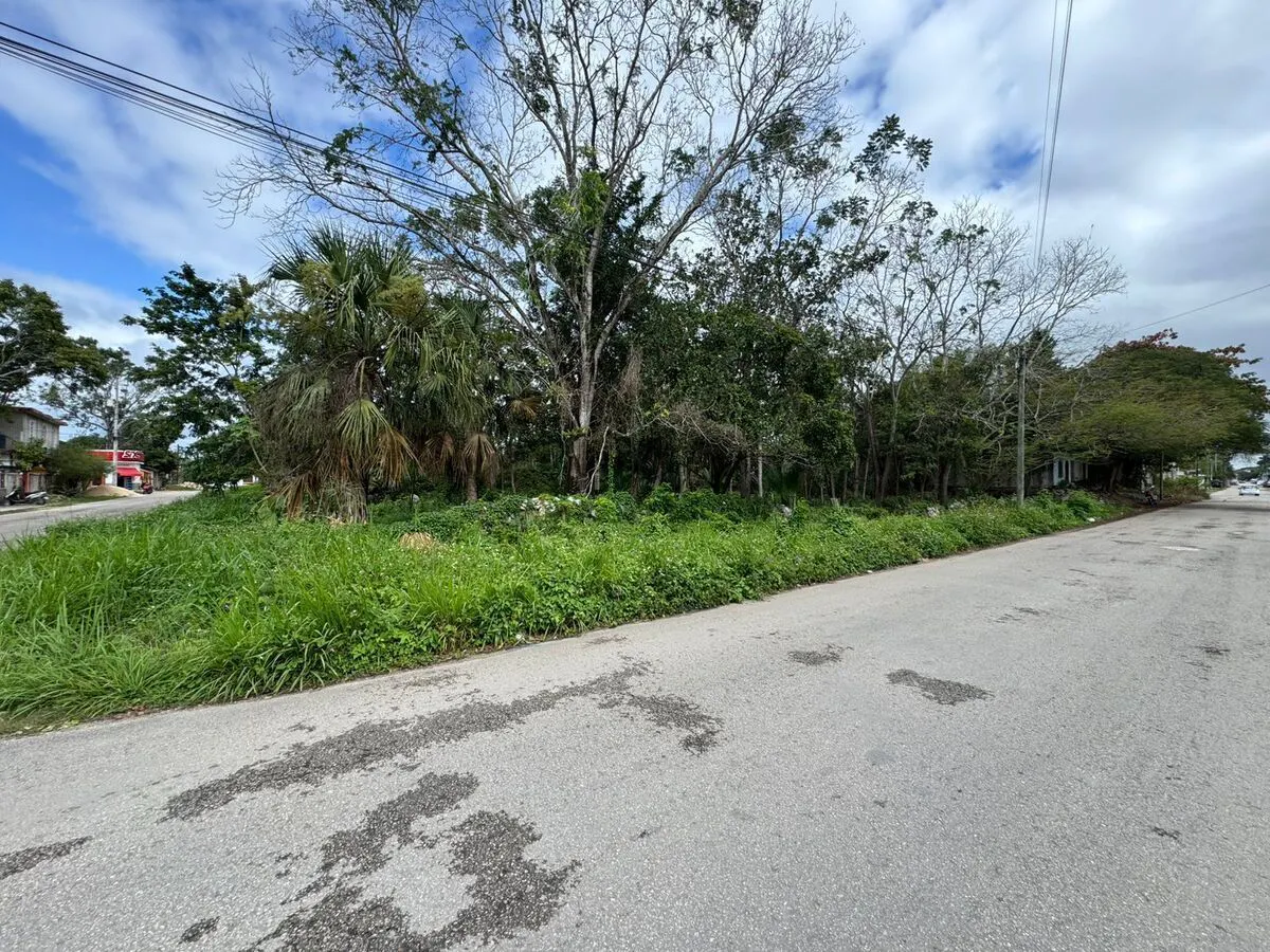 Terreno Spot2