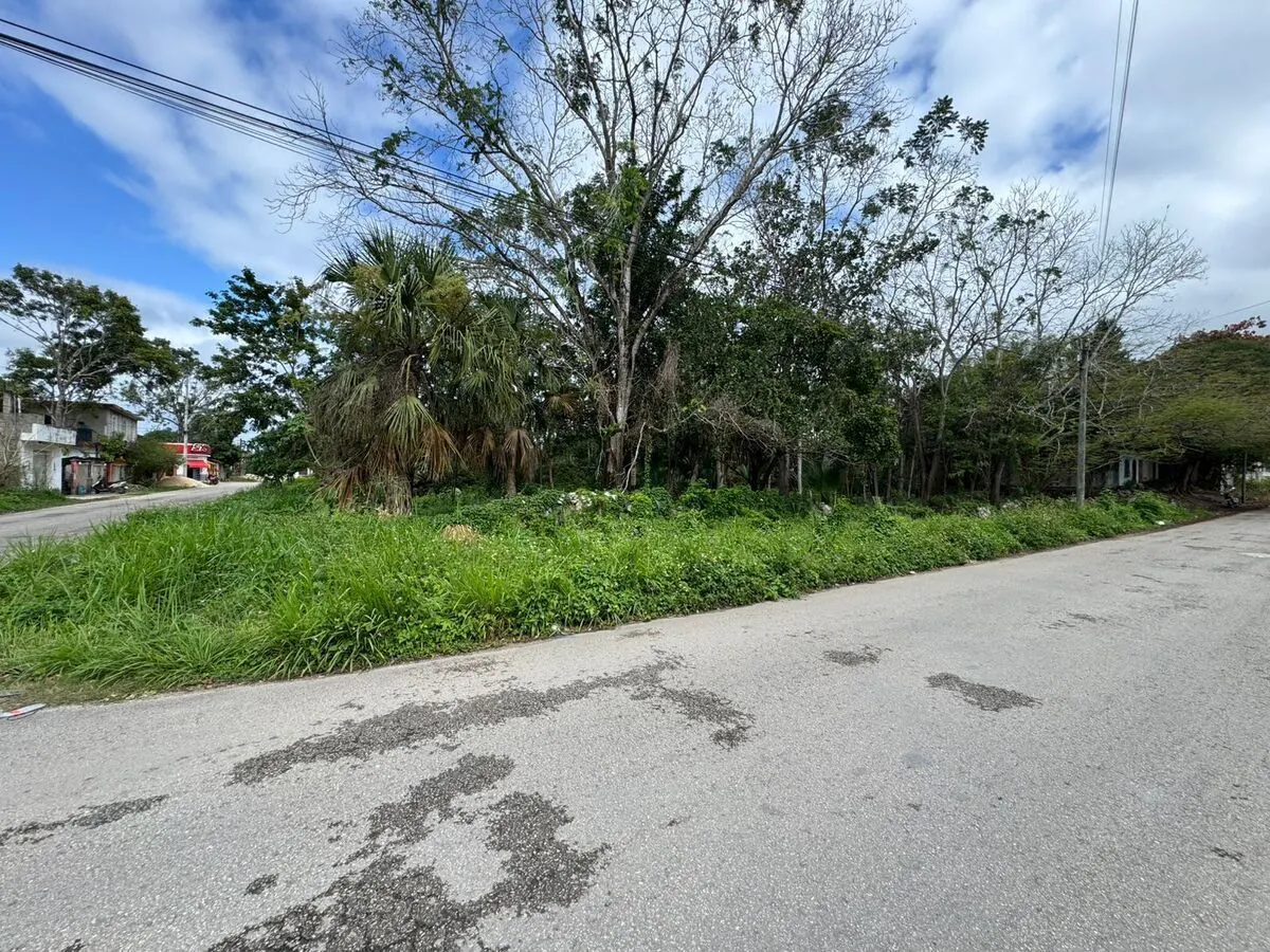Terreno Spot2