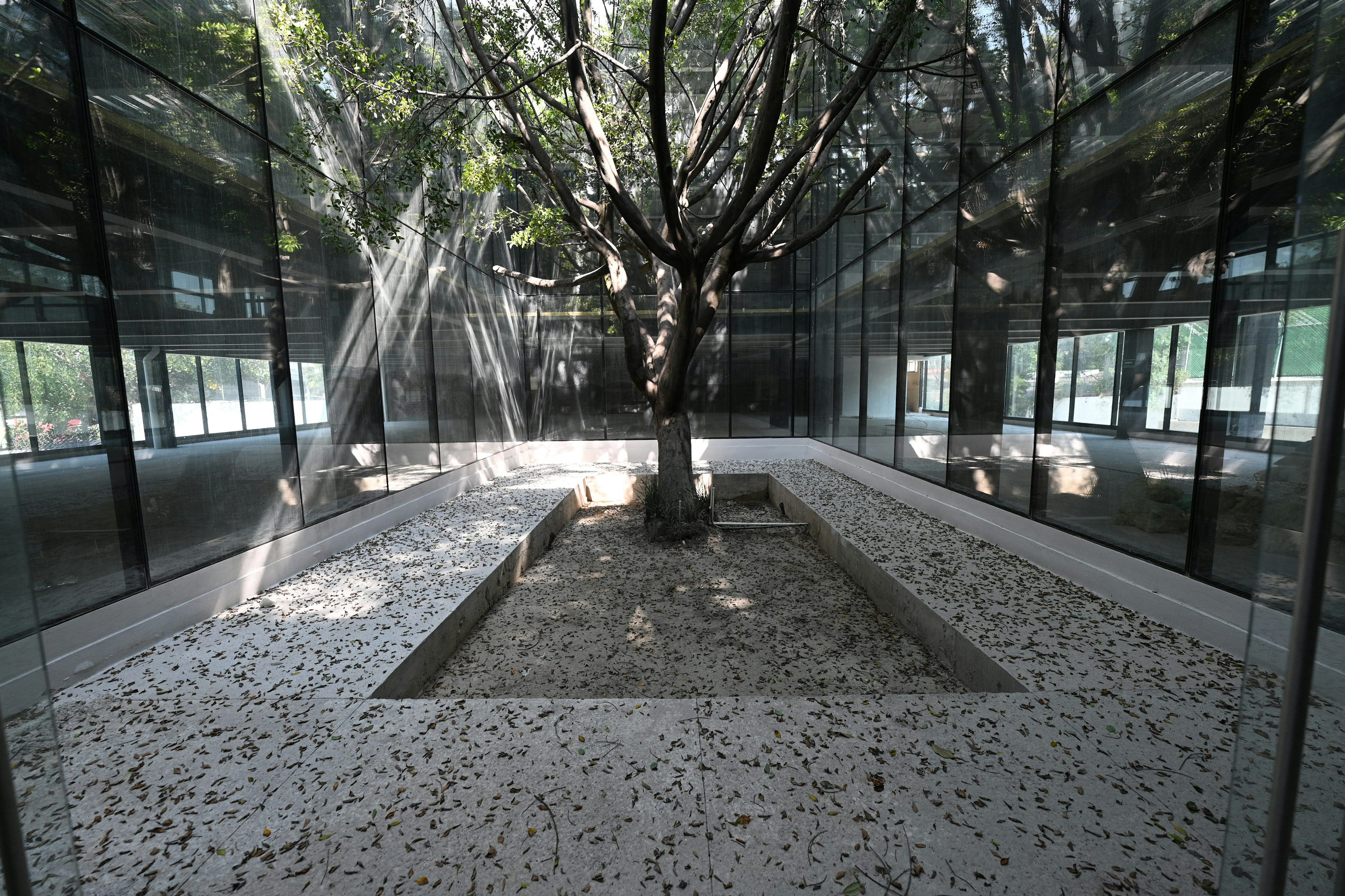 Edif. Central N2-photo