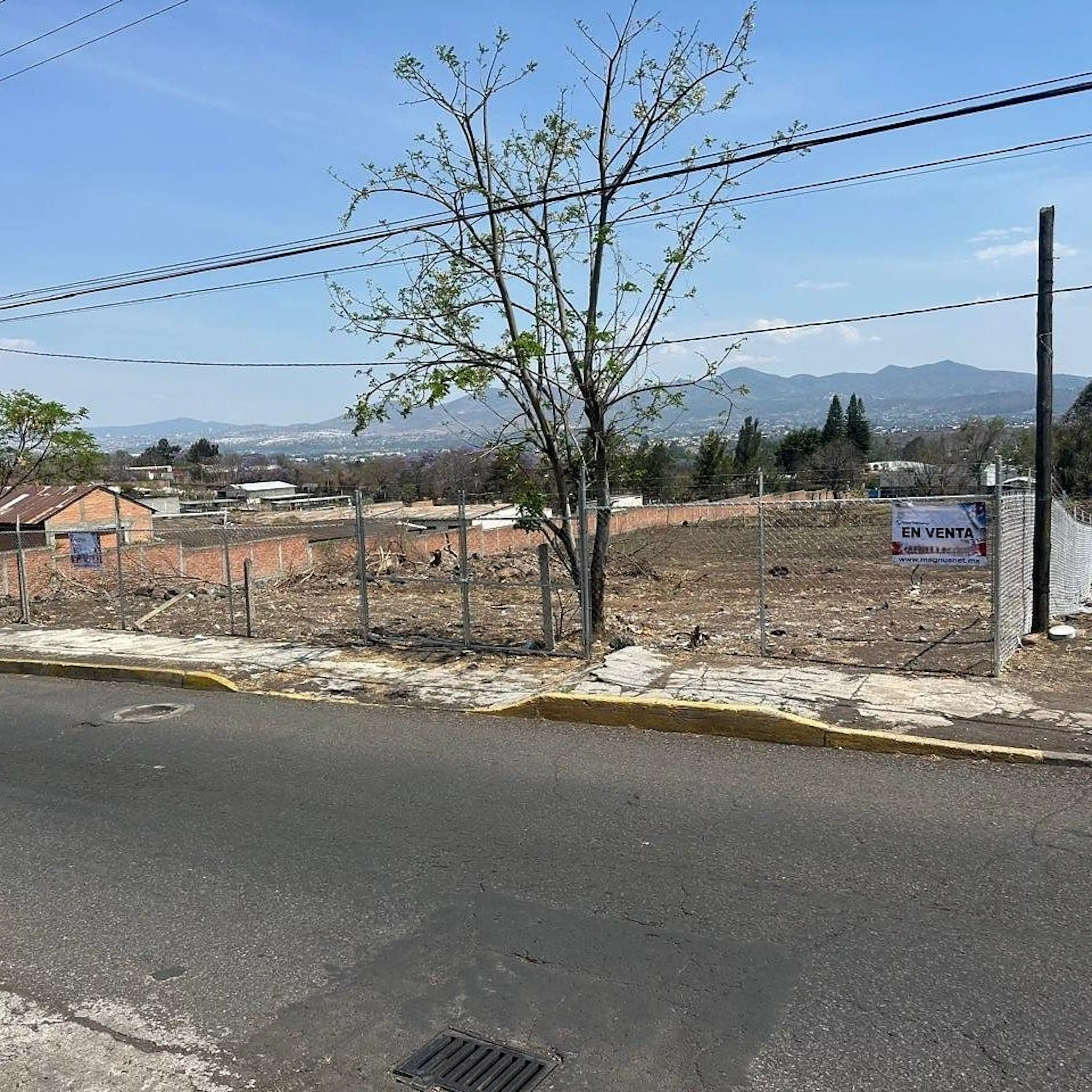 Terreno En Venta Col. AvÍcola