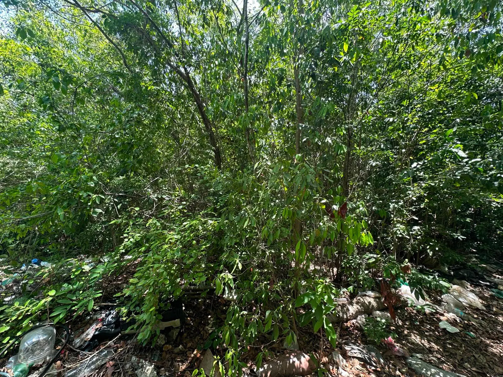 Terreno Spot2