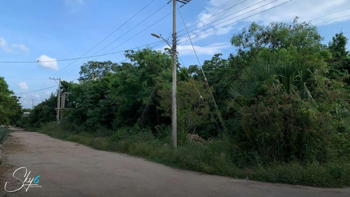 Terreno Spot2