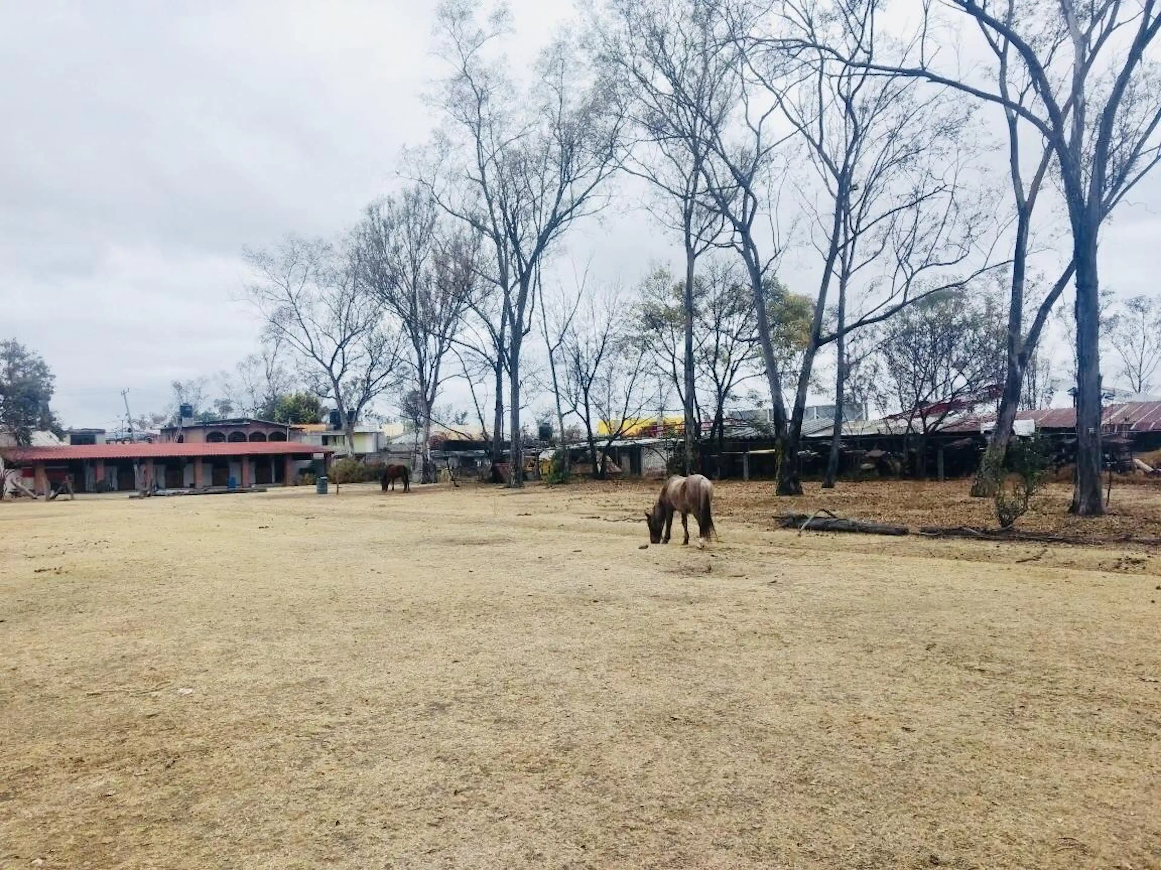Terreno Plano Densidad Alta 20,000m2 Granjas Lomas De Gpe Cuautitlán Izcalli