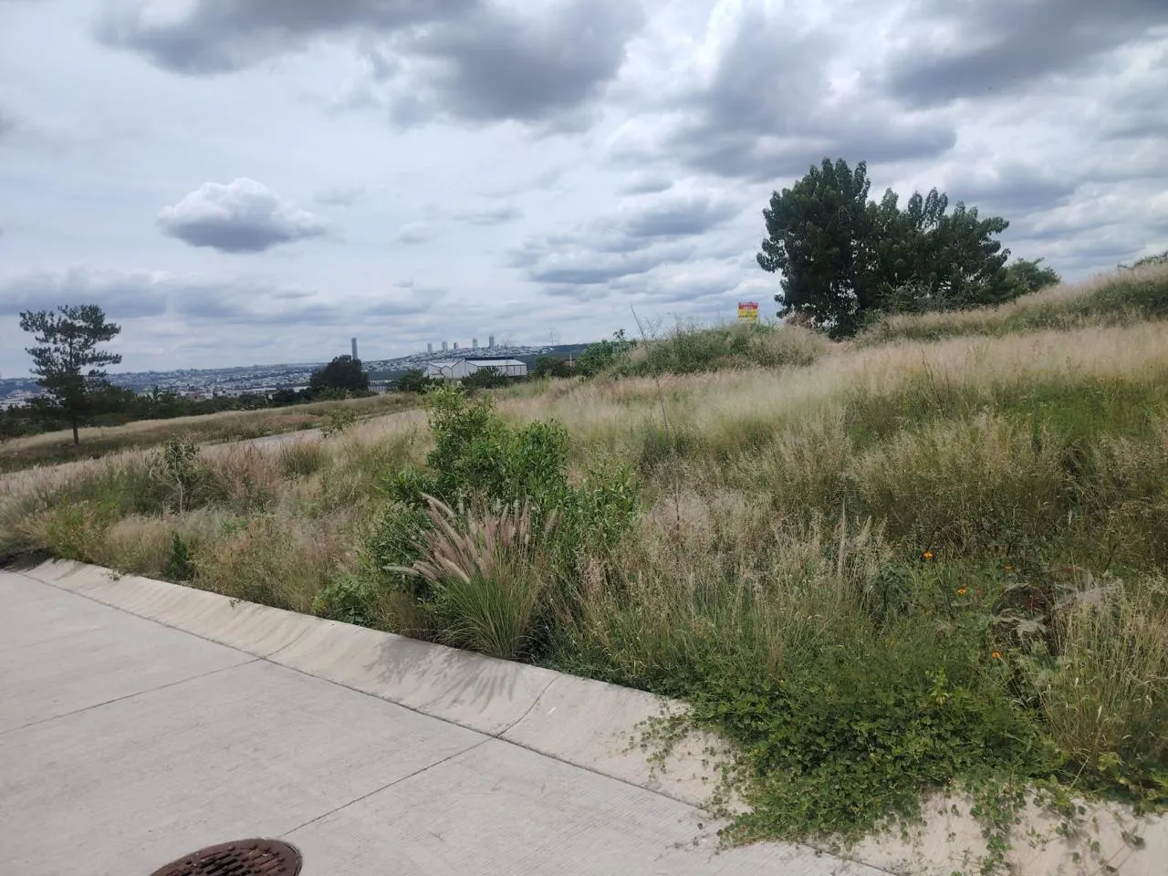 Terreno Spot2