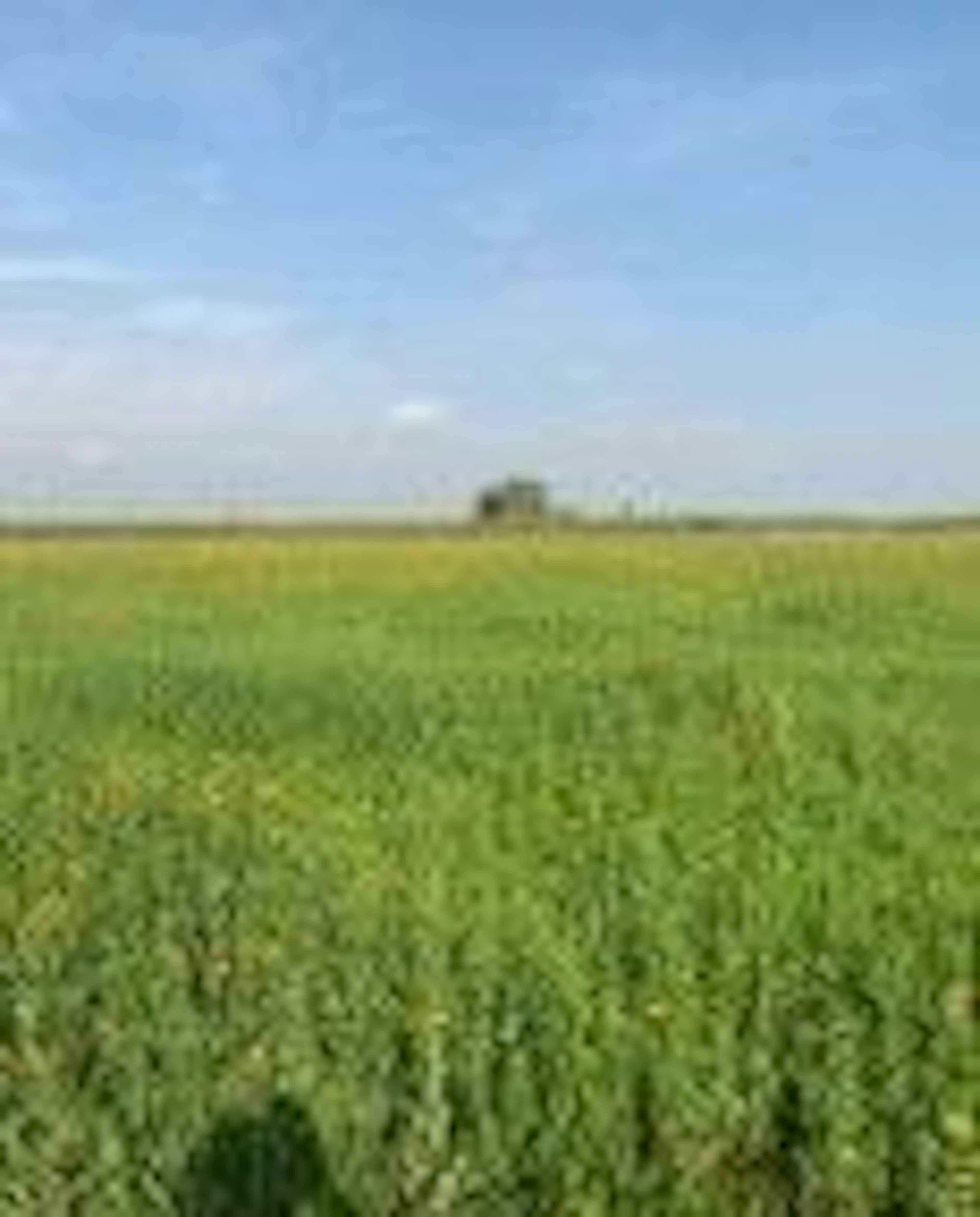 Terreno En Venta En  San Pablo Autopan