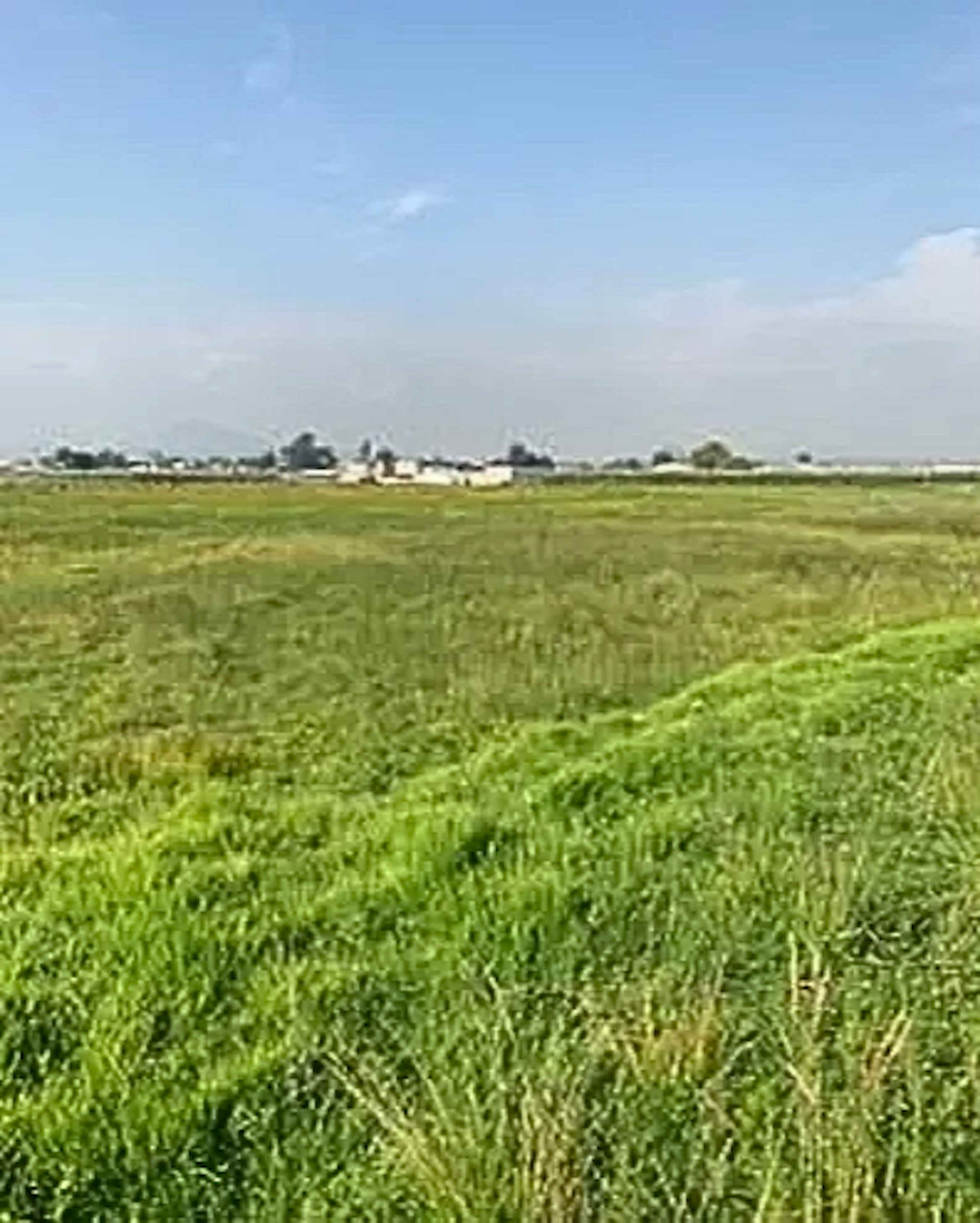 Terreno En Venta En San Pablo Autopan