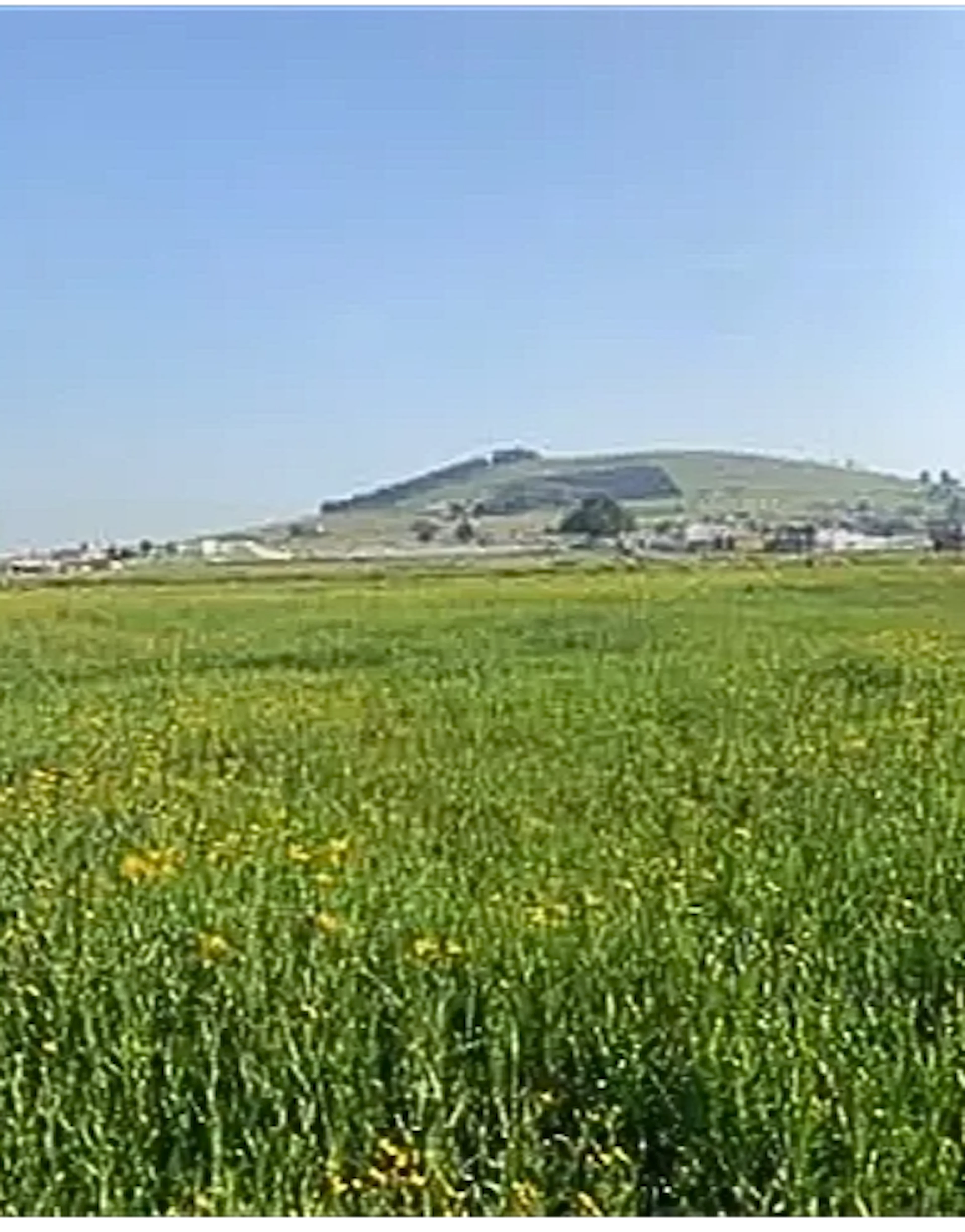 Terreno Spot2