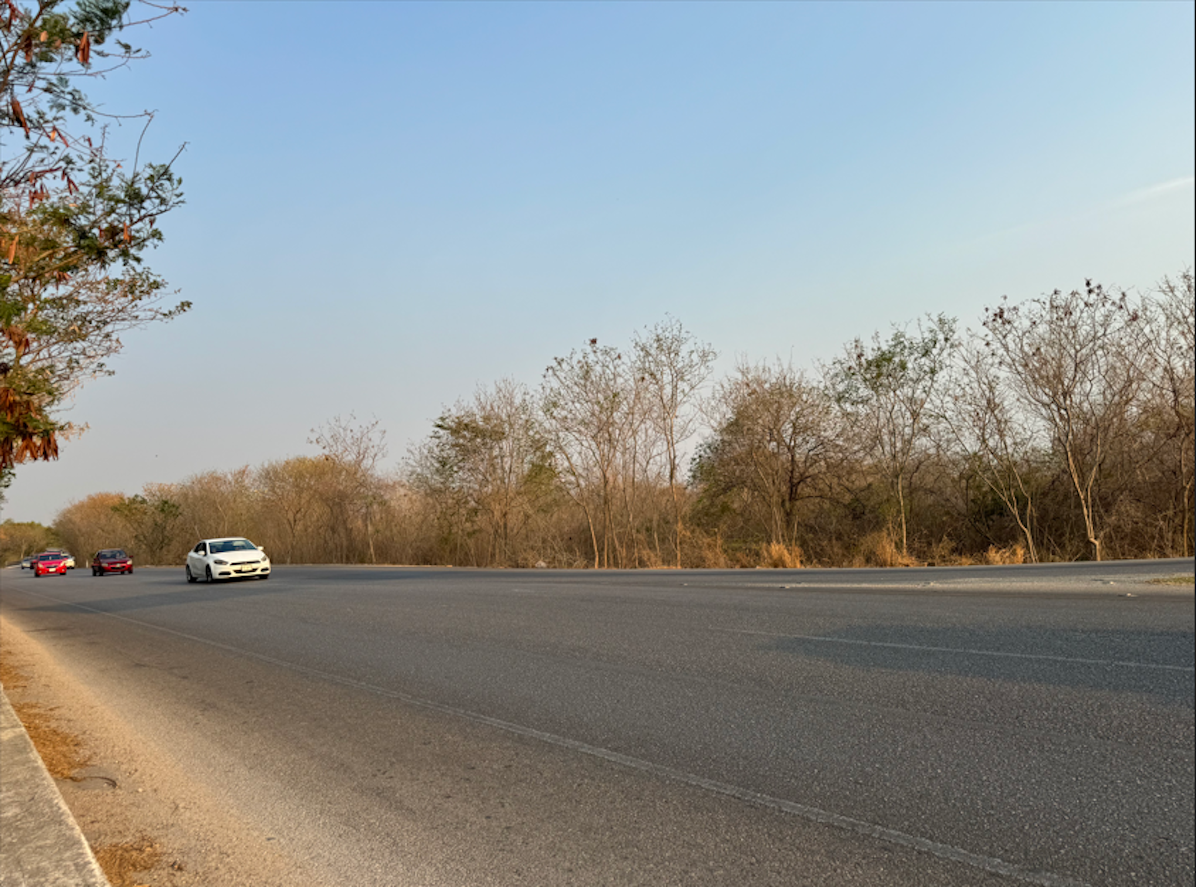 Imagen muestra una carretera asfaltada con vehículos en movimiento, bordeada por vegetación seca, posiblemente indicativa de un área rural o suburbana con potencial para desarrollo inmobiliario.