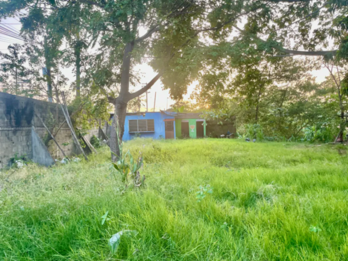 Terreno Spot2