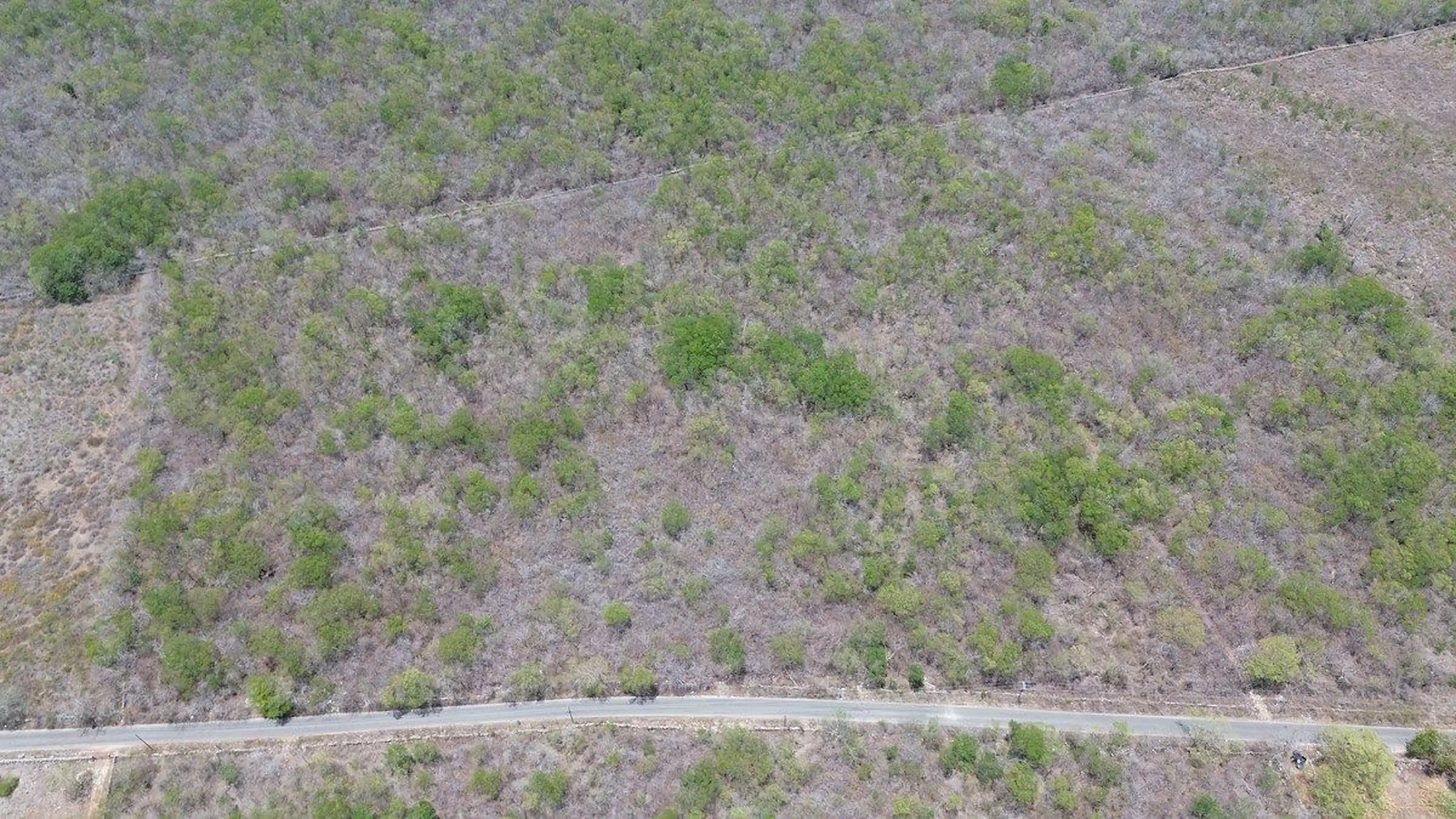 Venta De Macrolotes En Seyé Yucatán