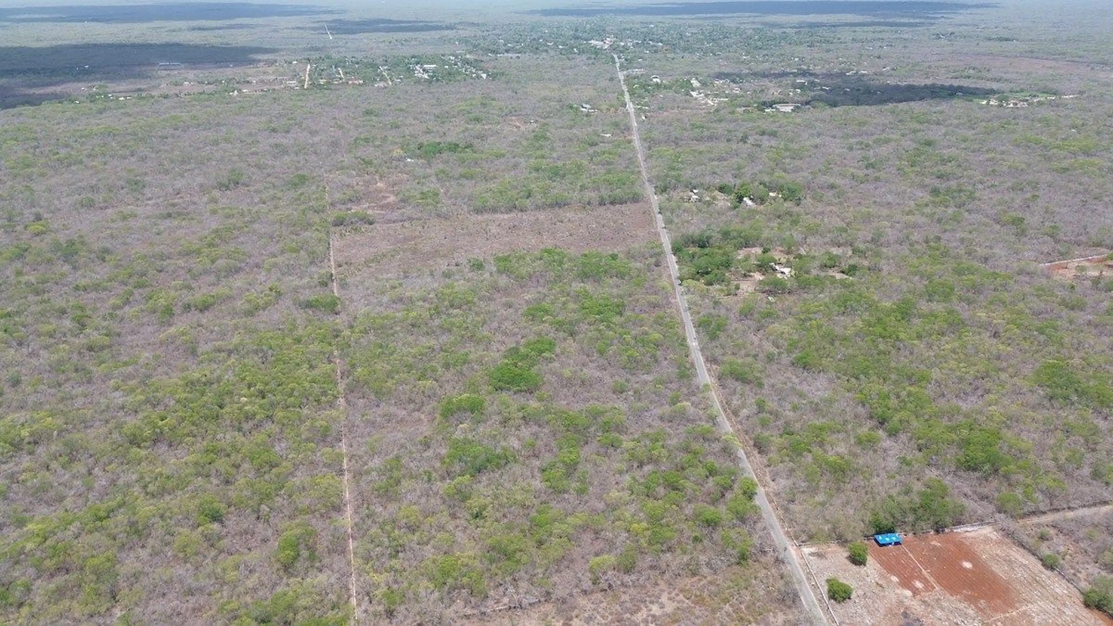 Venta De Macrolotes En Seyé Yucatán