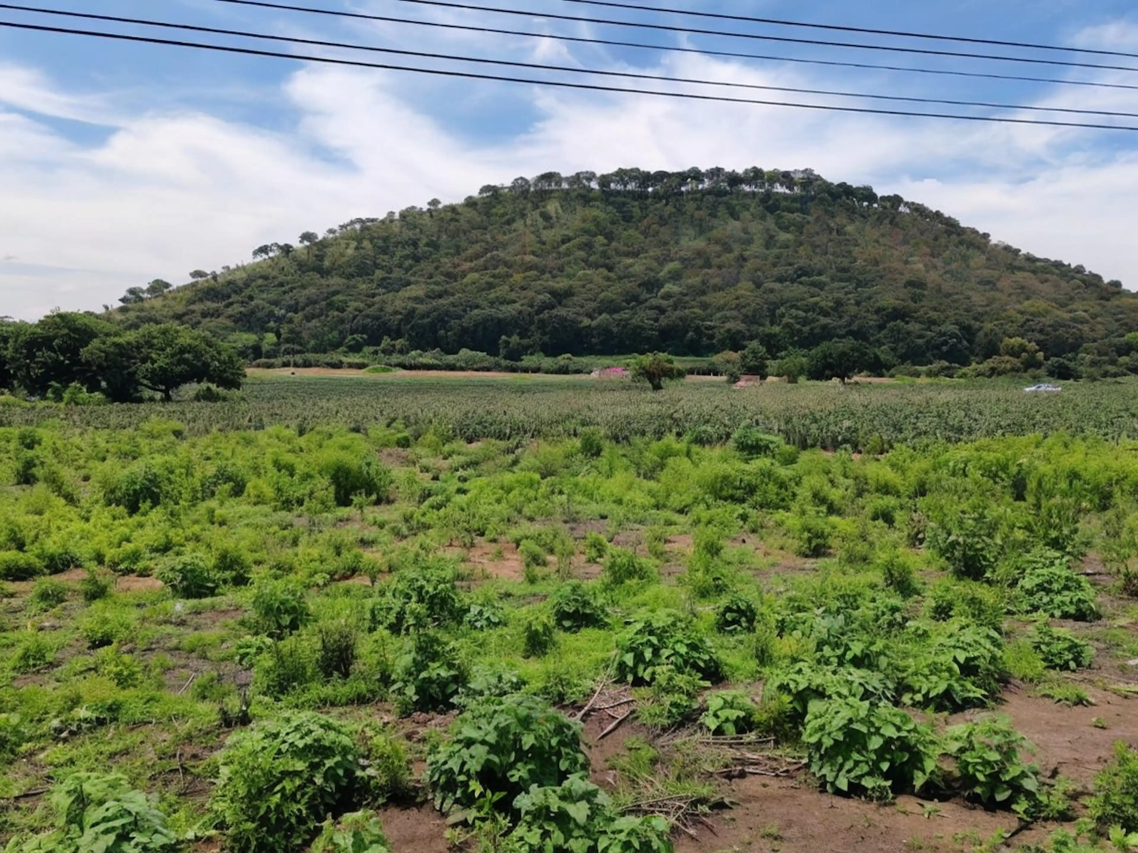 Terreno En Venta En Morelos, Totolapan