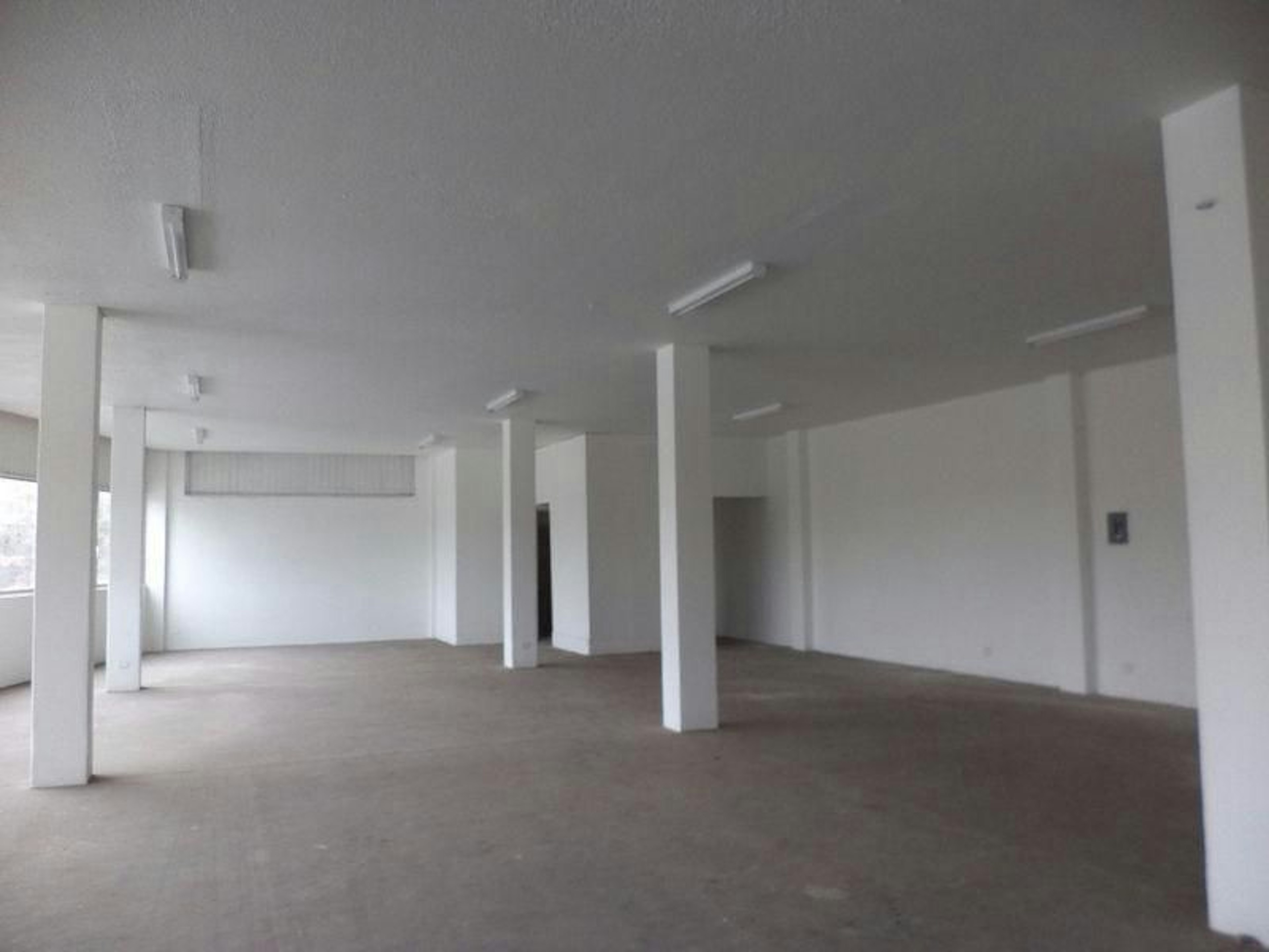 Spot image 0