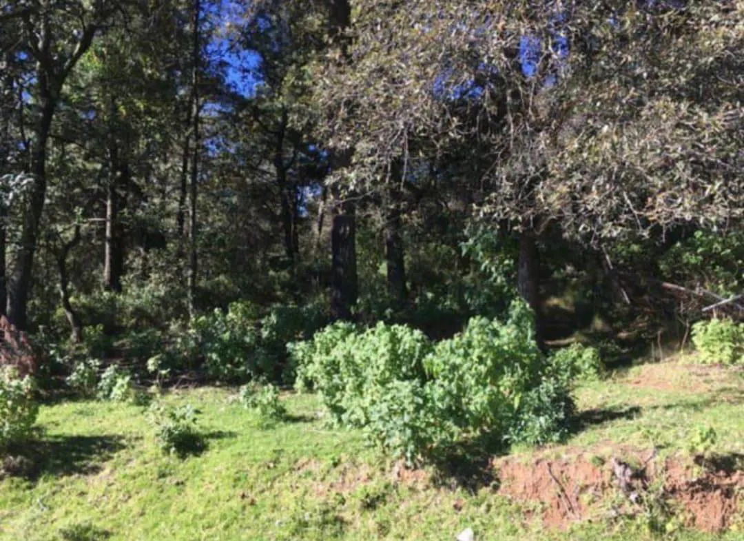 Terreno Spot2