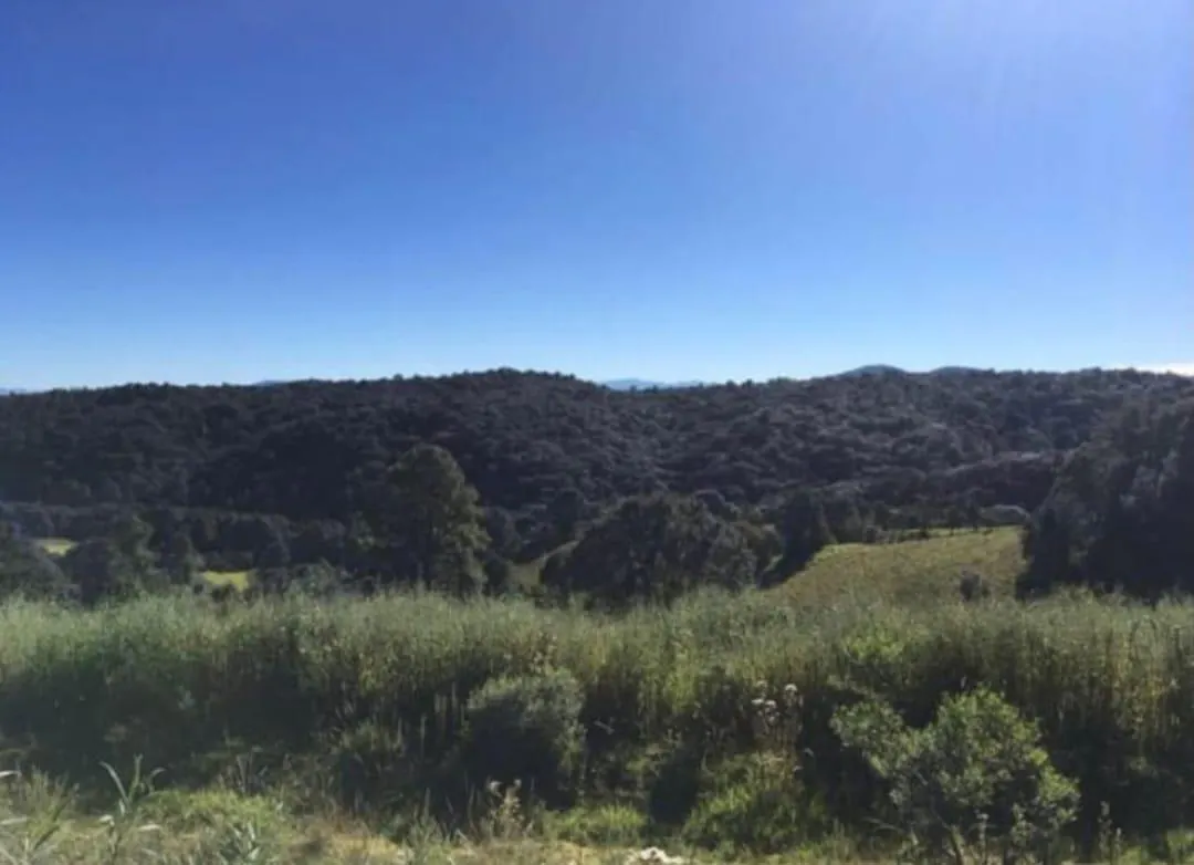 Terreno Spot2