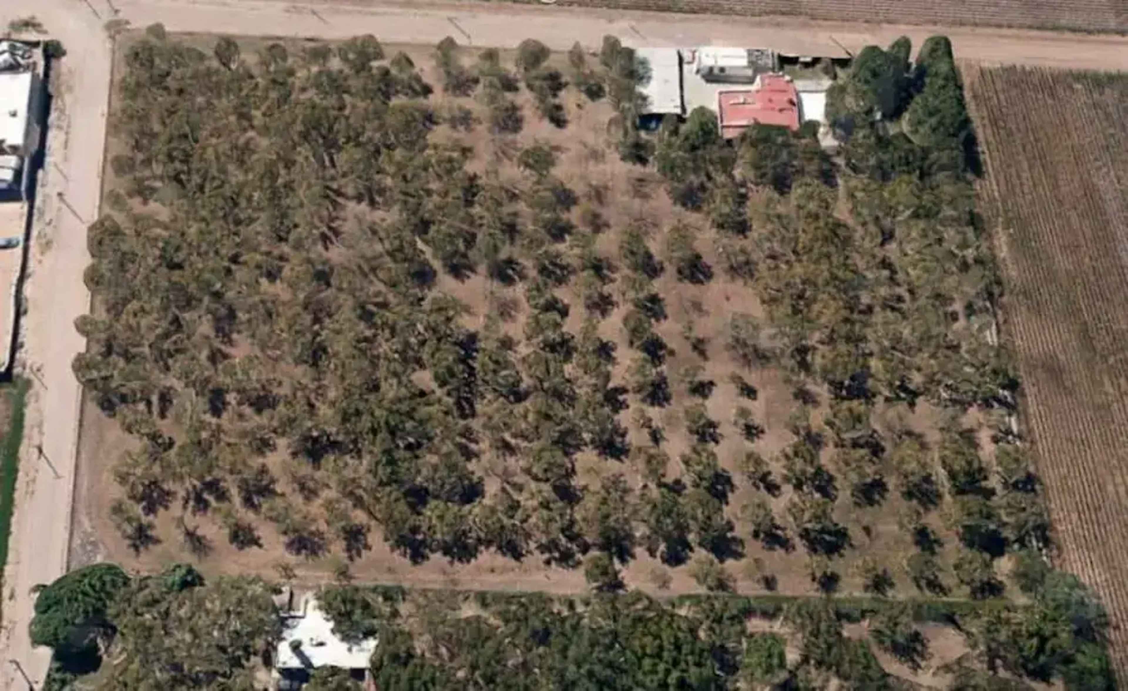 Terreno En Venta En Juarez, Juárez, Chihuahua