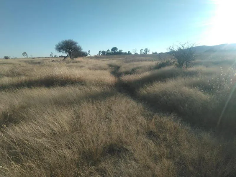 Terreno Spot2