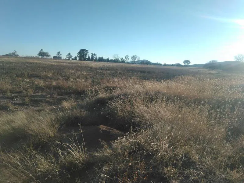 Terreno Spot2
